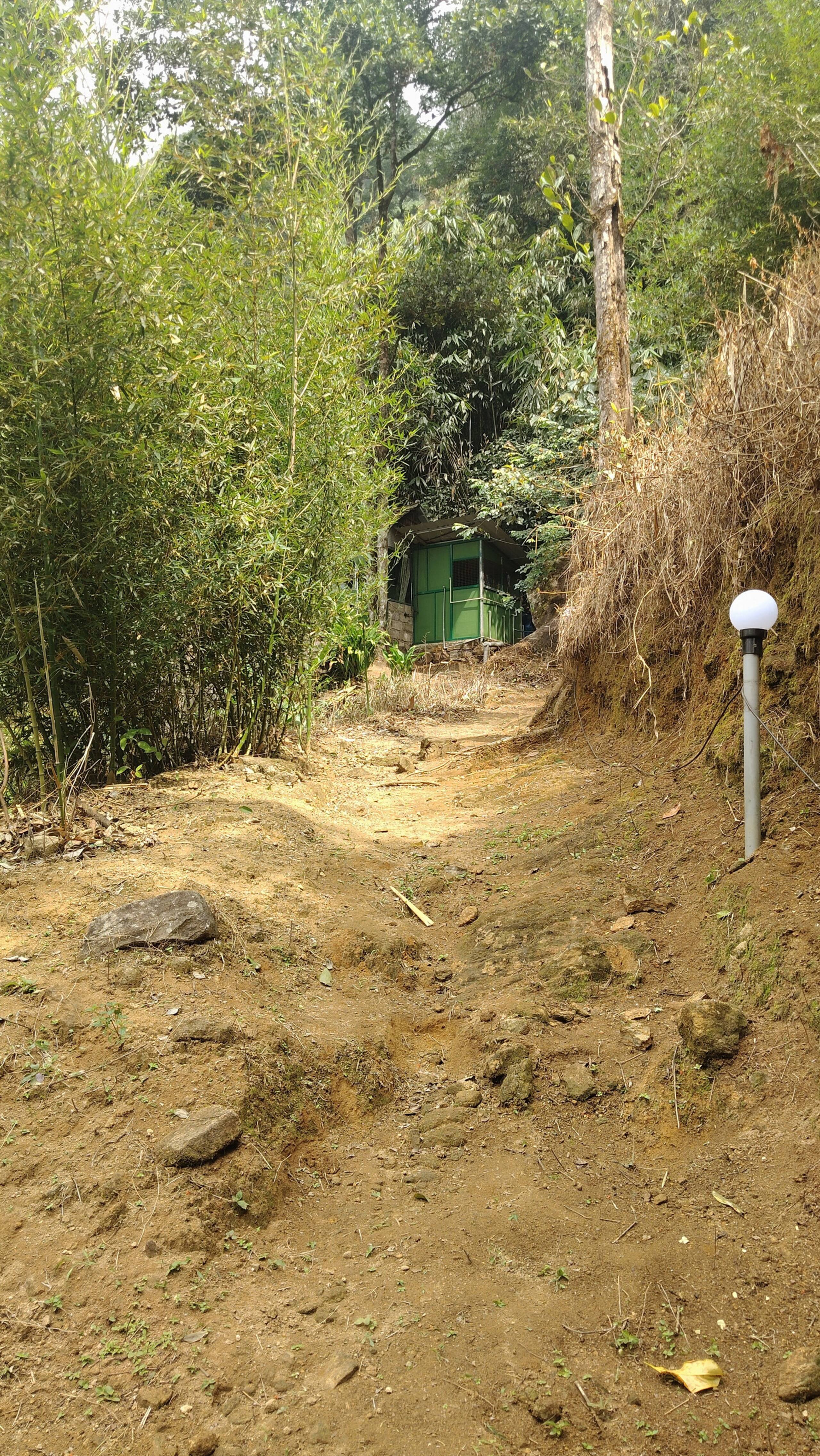 Hornbill Paradise Munnar - Hostel Jungle Stay. 9