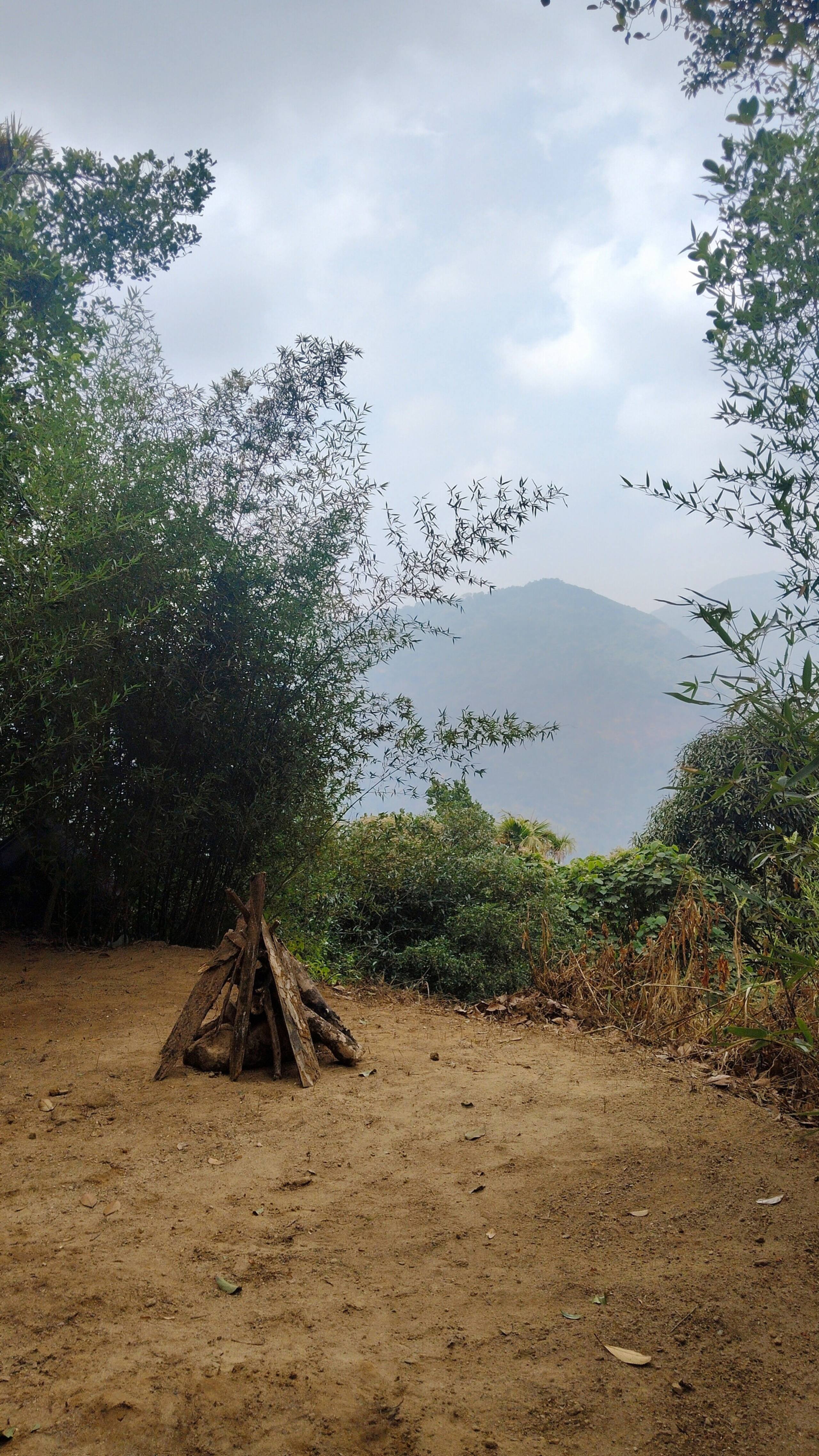 Hornbill Paradise Munnar - Hostel Jungle Stay. 4