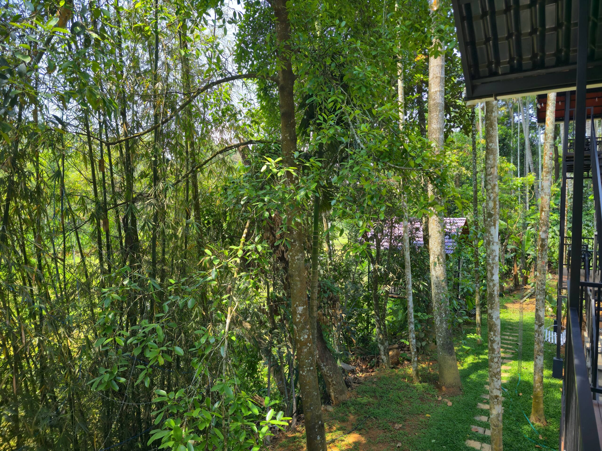 Individual Villa with Balcony - The Bliss 32