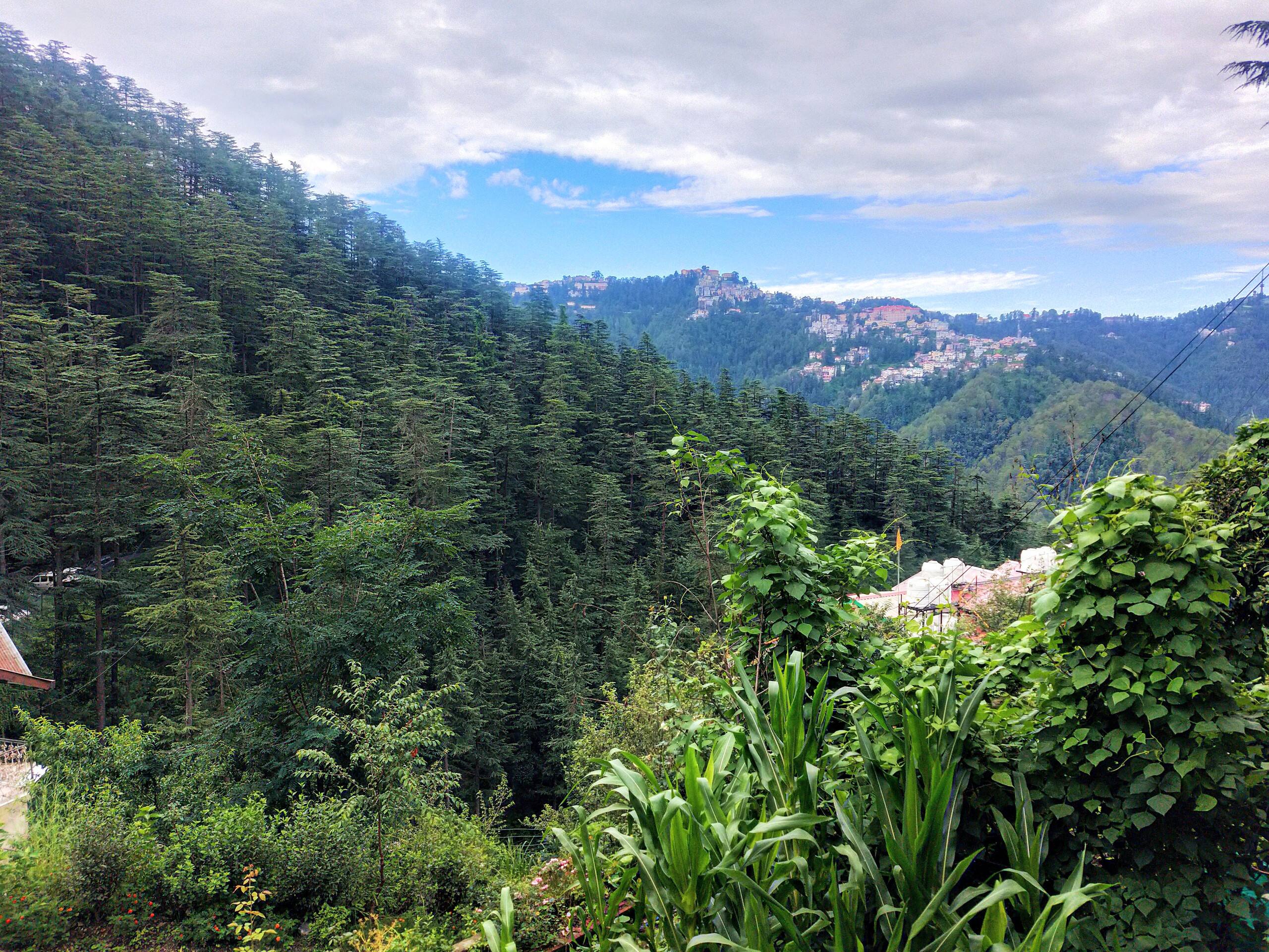 Neha Homestay Shimla — photo 4