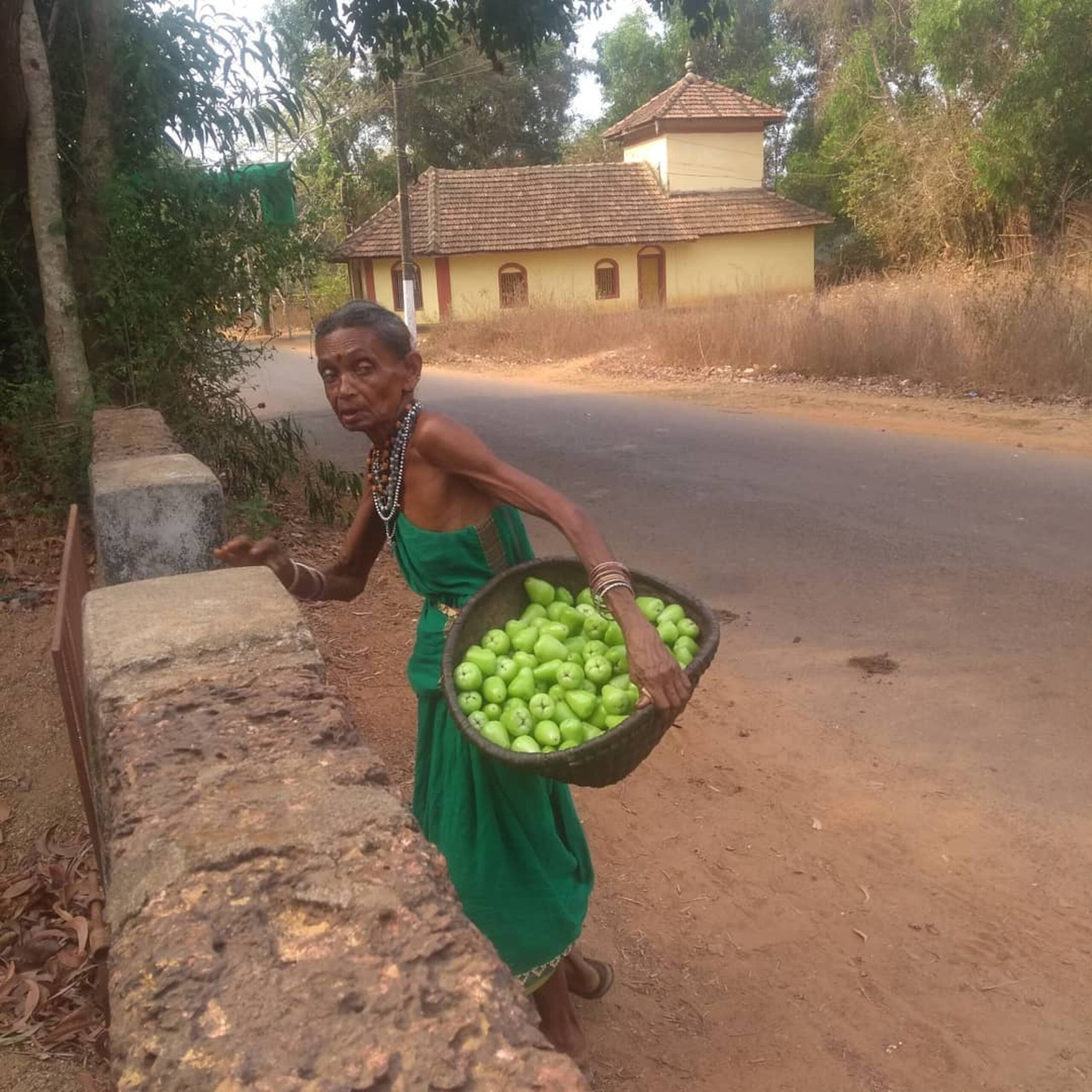 Gangavalimane/ಗಂಗೆ -a village home Entire House 10