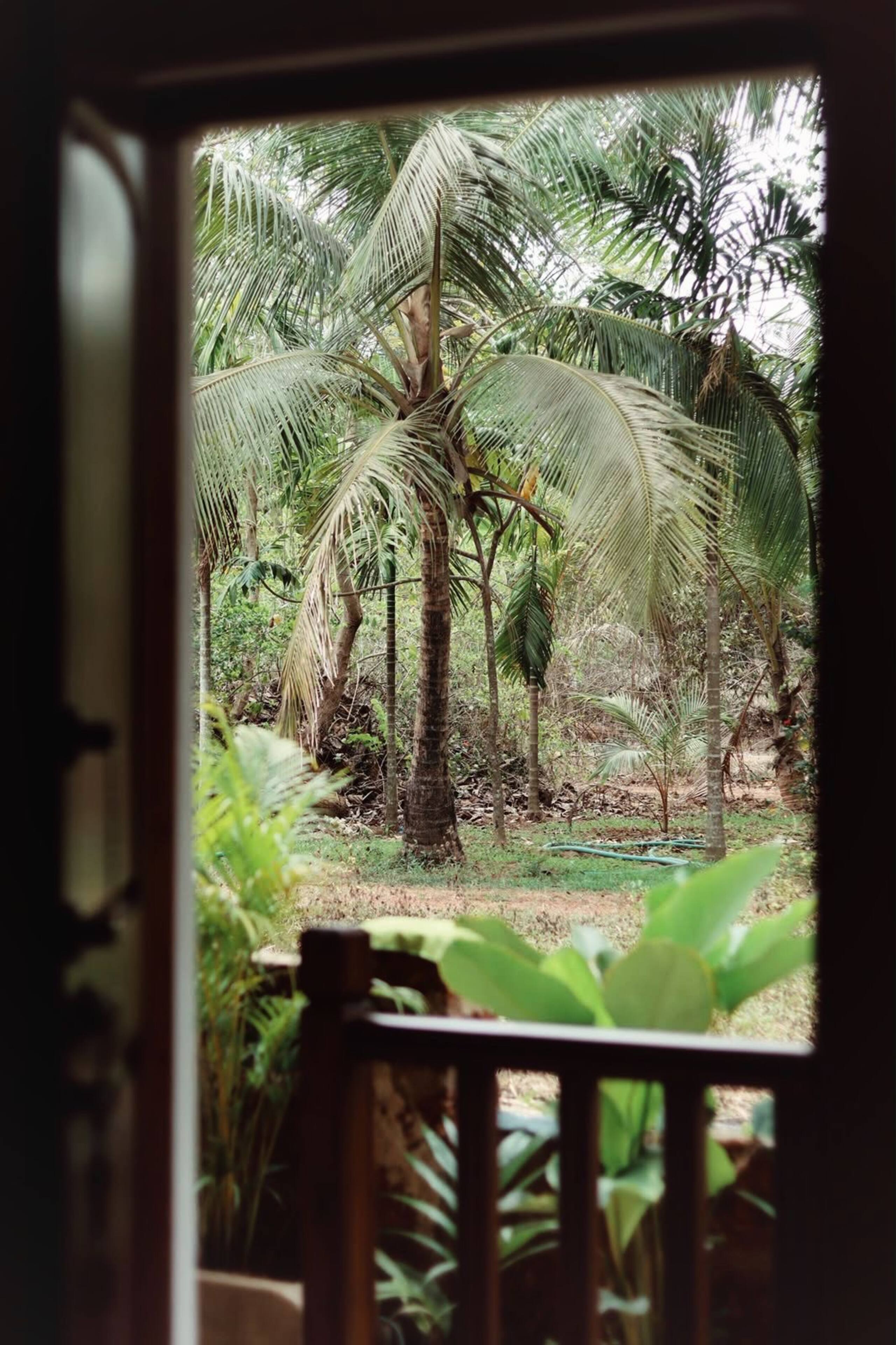 Nataraj Sadan | Calm Coastal Escape | Farm Views 22