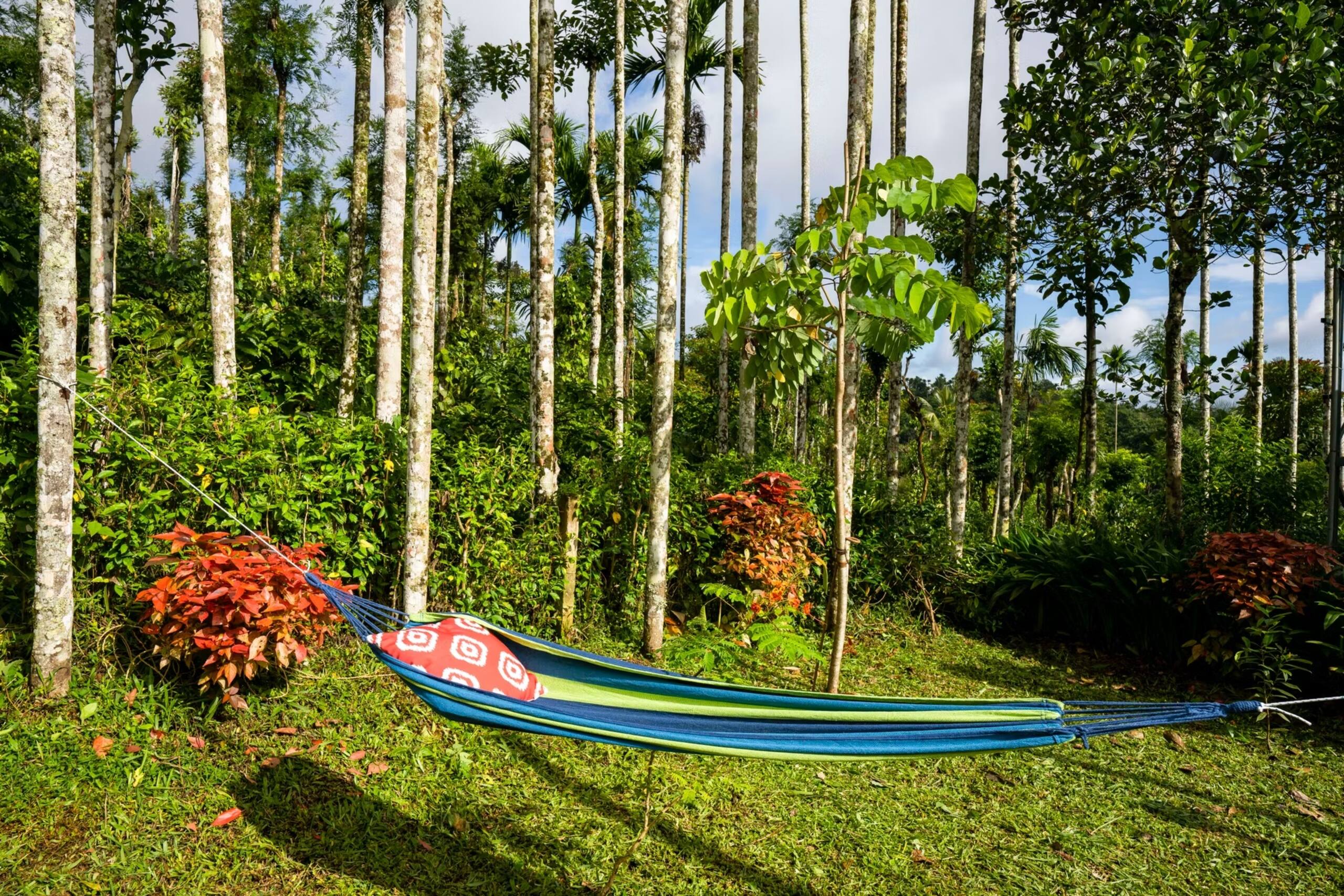 Entire Premium Homes in Karapuzha, Wayanad 3