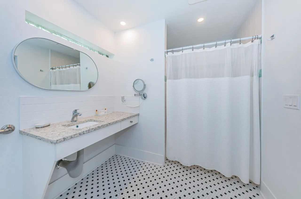 Large Studio King (Handicap Accessible) 6