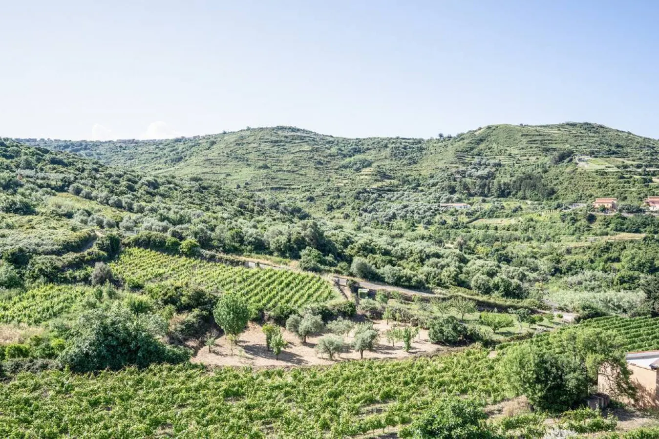 Casa nel Vitigno - Giuliana 8