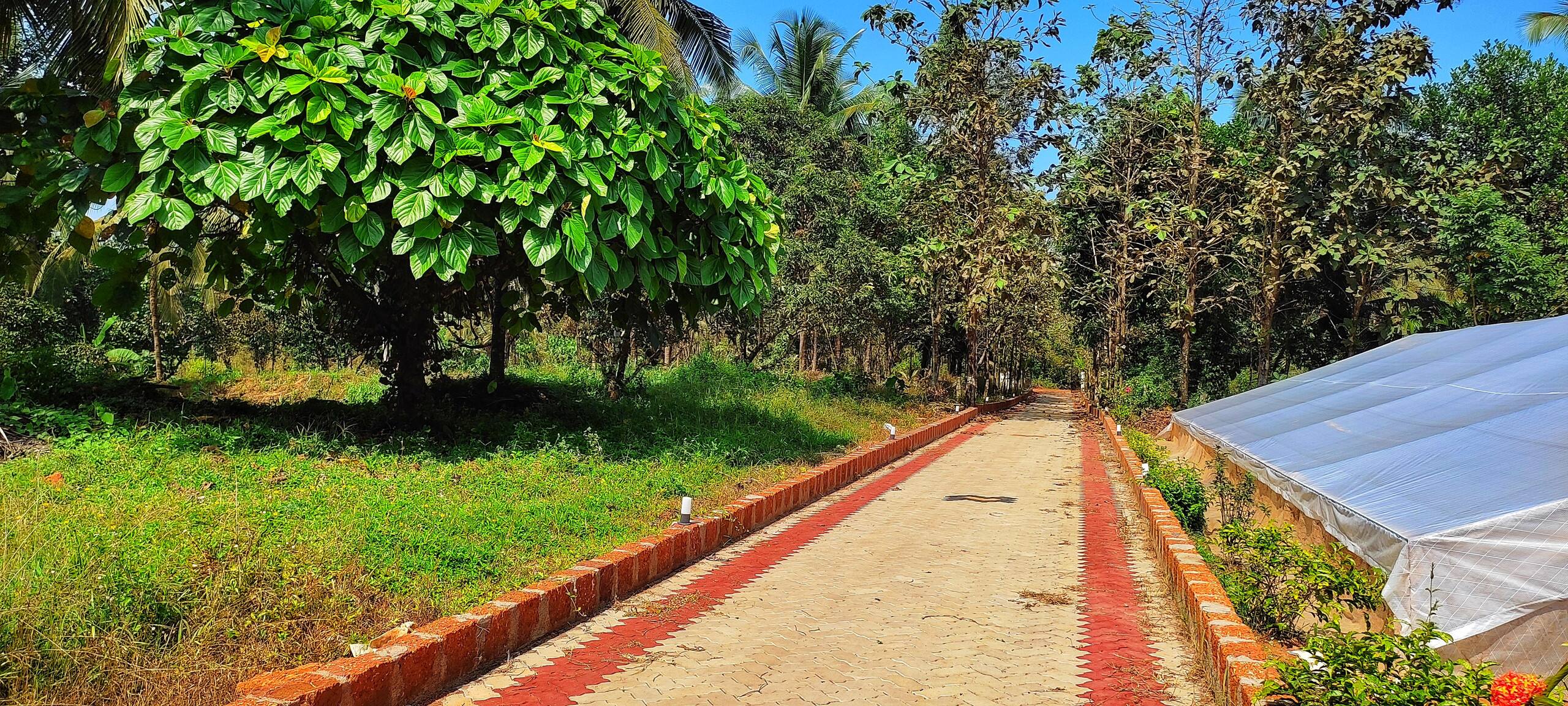 Blue Oasis-Villa with pool & River & Spice tour 12