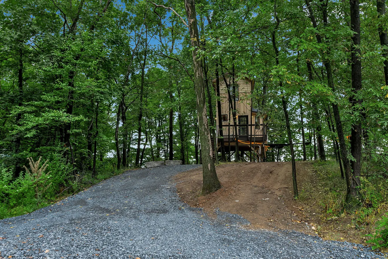 Lakefront Treehouse - Blue Heron Haven 19