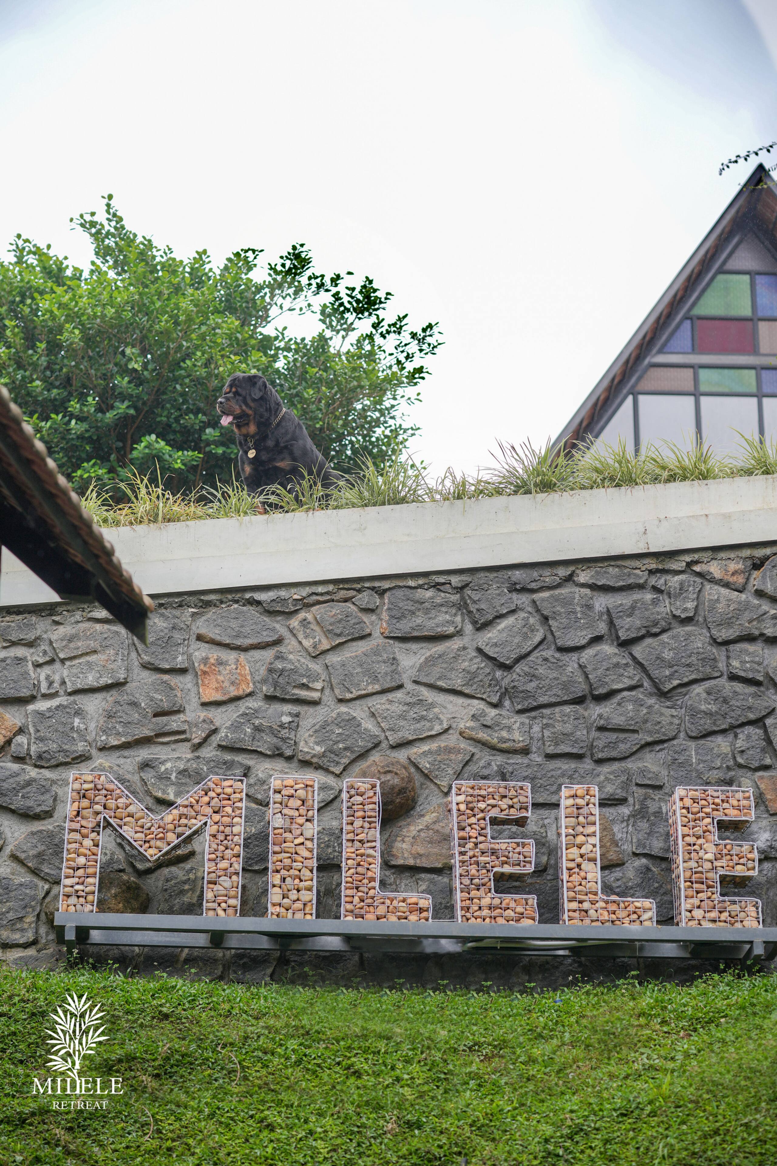 Milele Retreat -near vagamon, Munnar, Thekkady 8