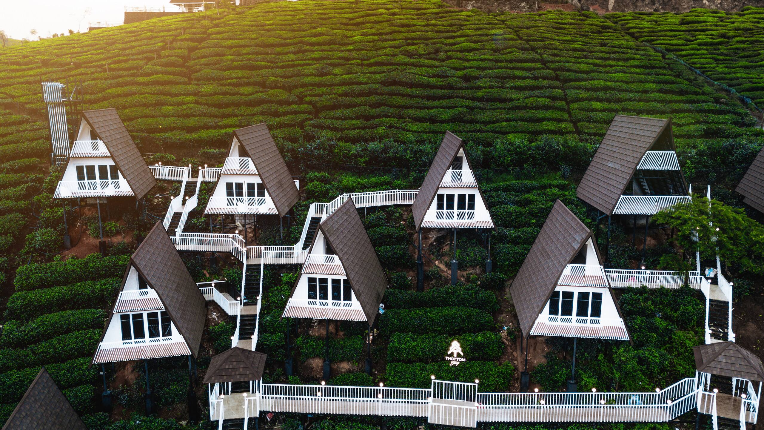 Vagamon Tea valley view cottages by Thottom Stays 7