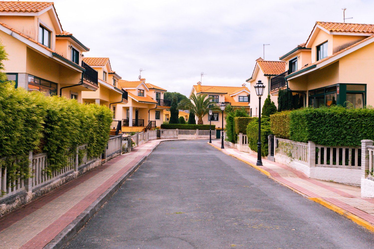 Luxury Forest-View 1BHK | Pool, Gym & Sunset Views 9