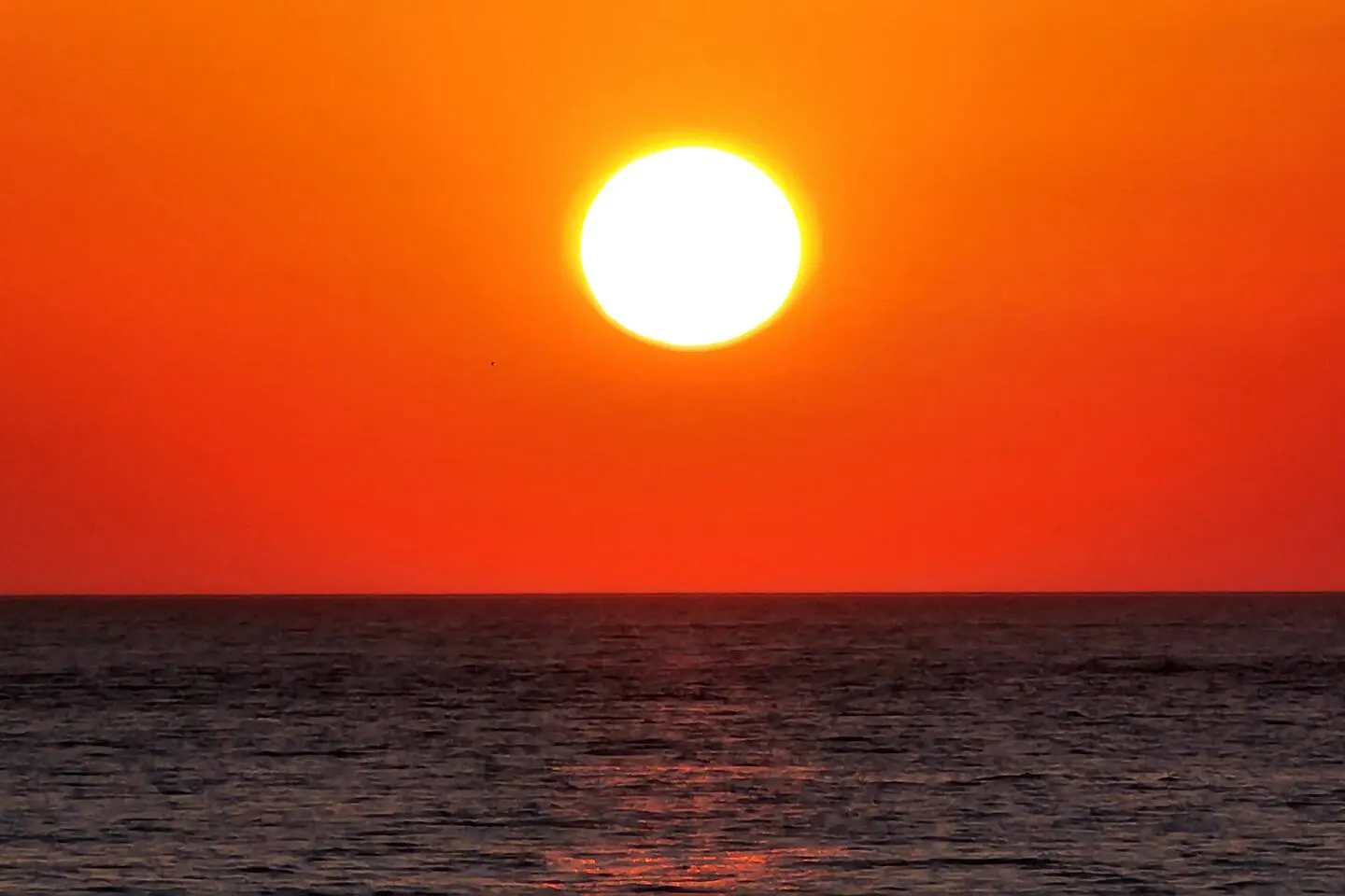 Susnwept 109-Newly Renovated Ocean Front Condo 18