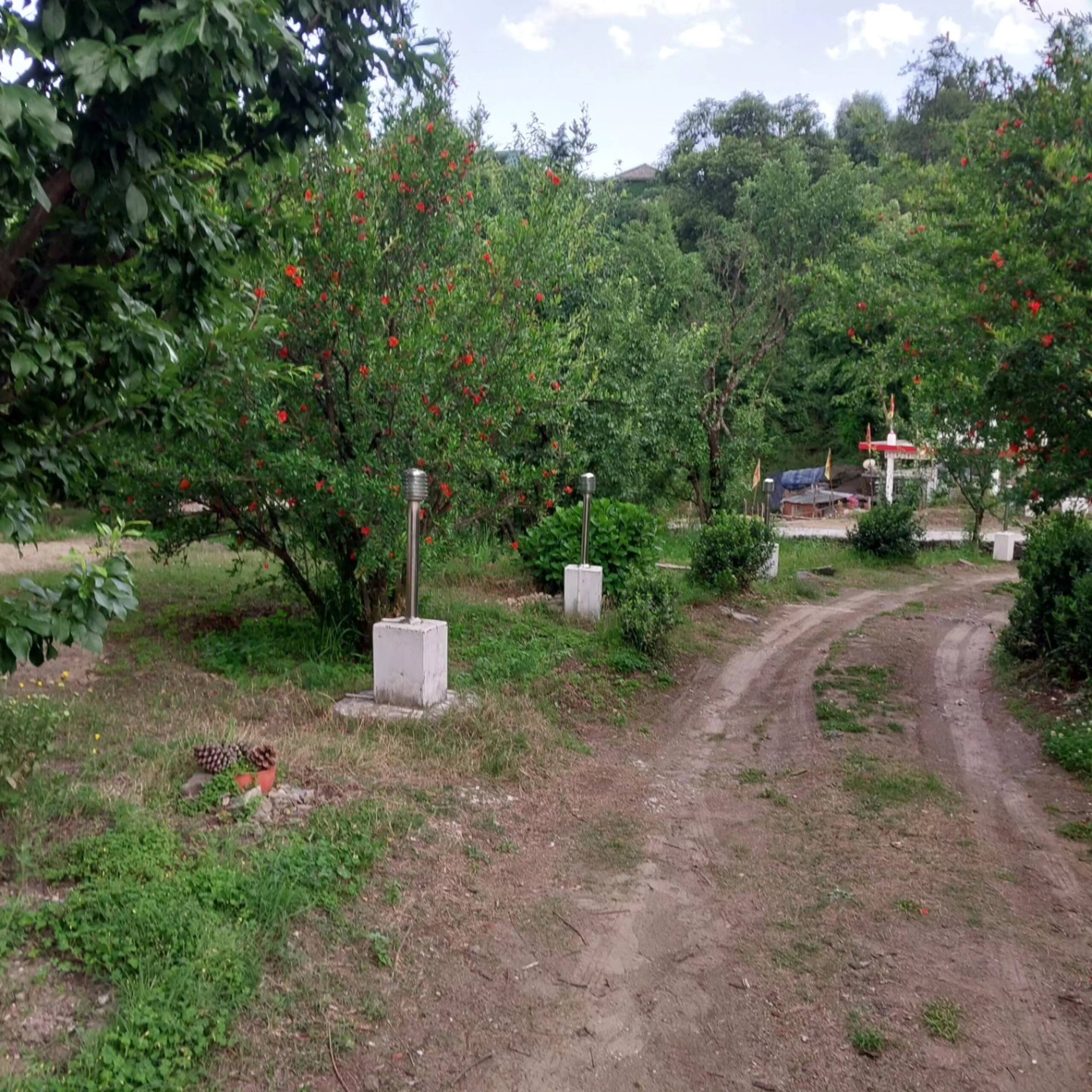 Silver Streak best Cottage with kitchennear Manali 23
