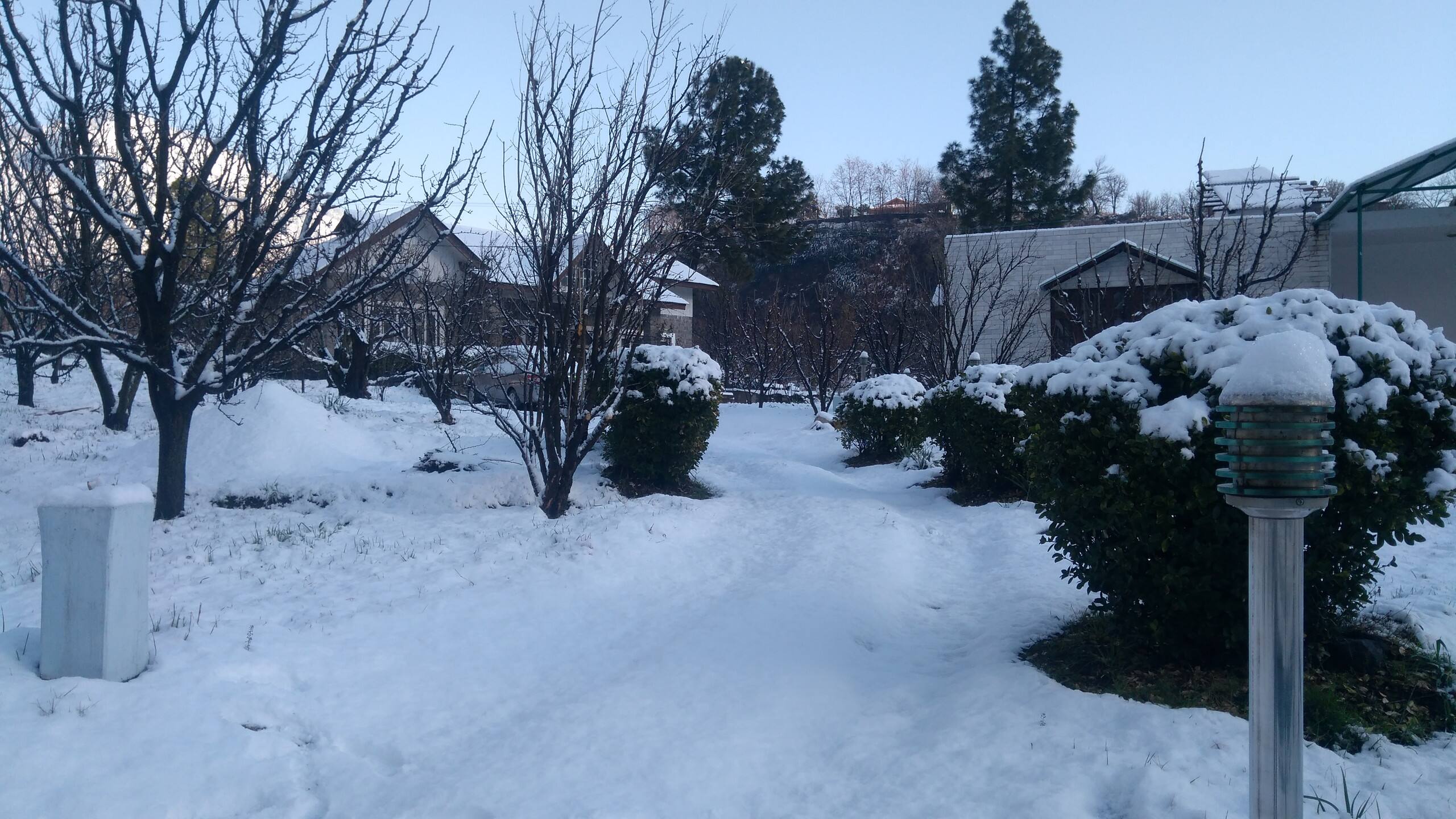Silver Streak best Cottage with kitchennear Manali 1