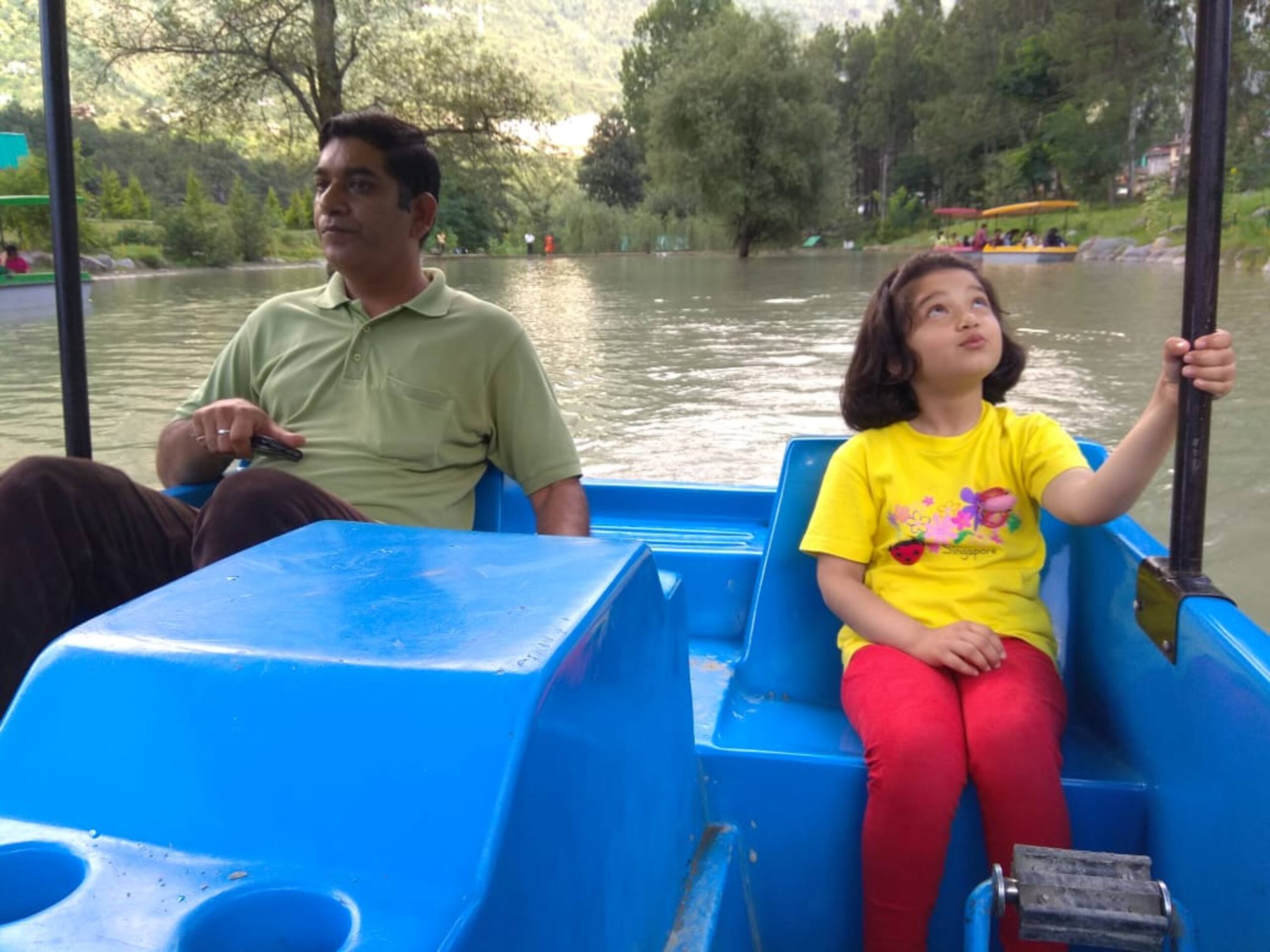 Silver Streak best Cottage with kitchennear Manali 30