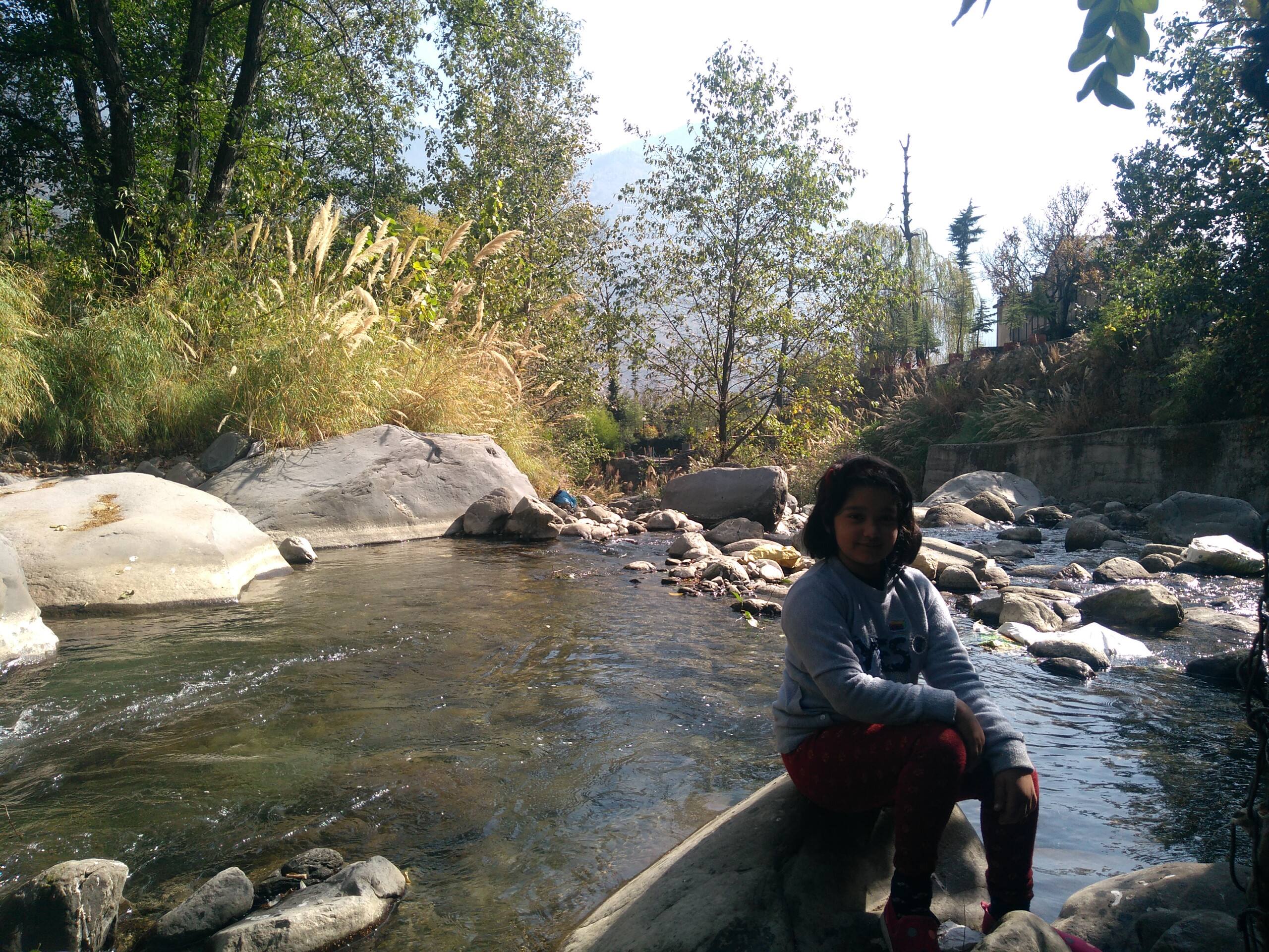 Silver Streak best Cottage with kitchennear Manali 29