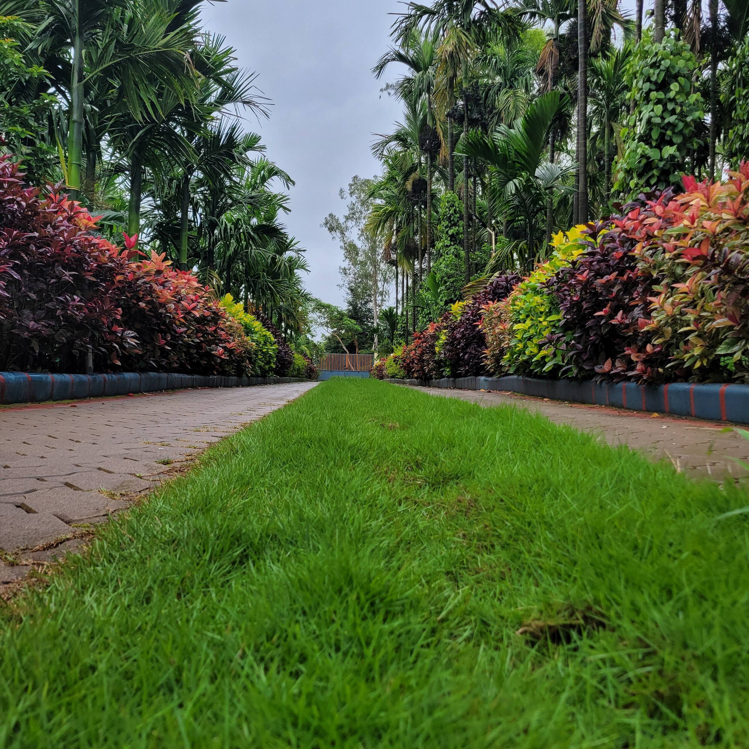 Nadti River Home Stay - Peaceful Escape 34