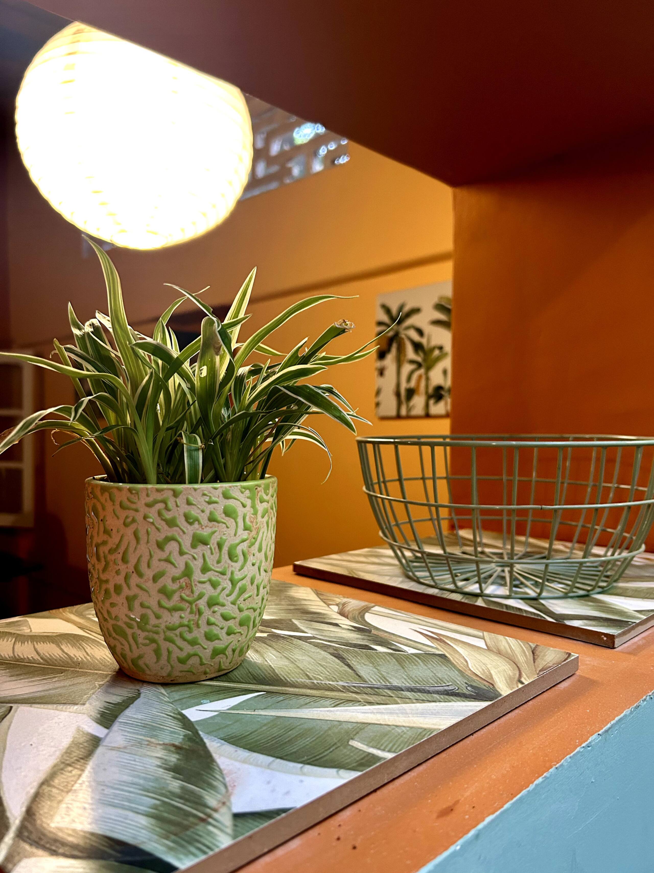 The Courtyard 26