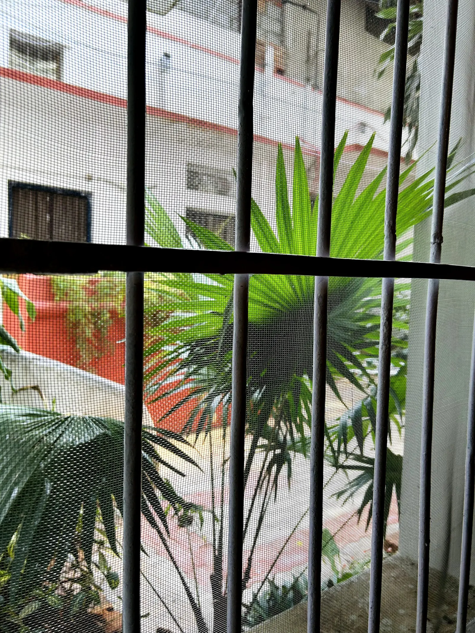 The Courtyard 8