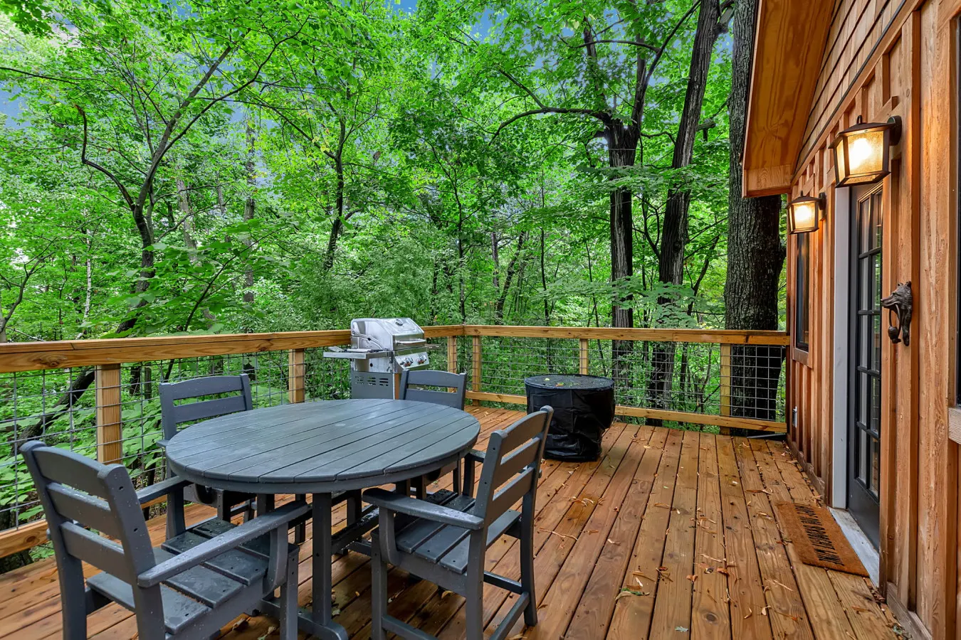 Lakefront Treehouse - Cowbird Canopy 16