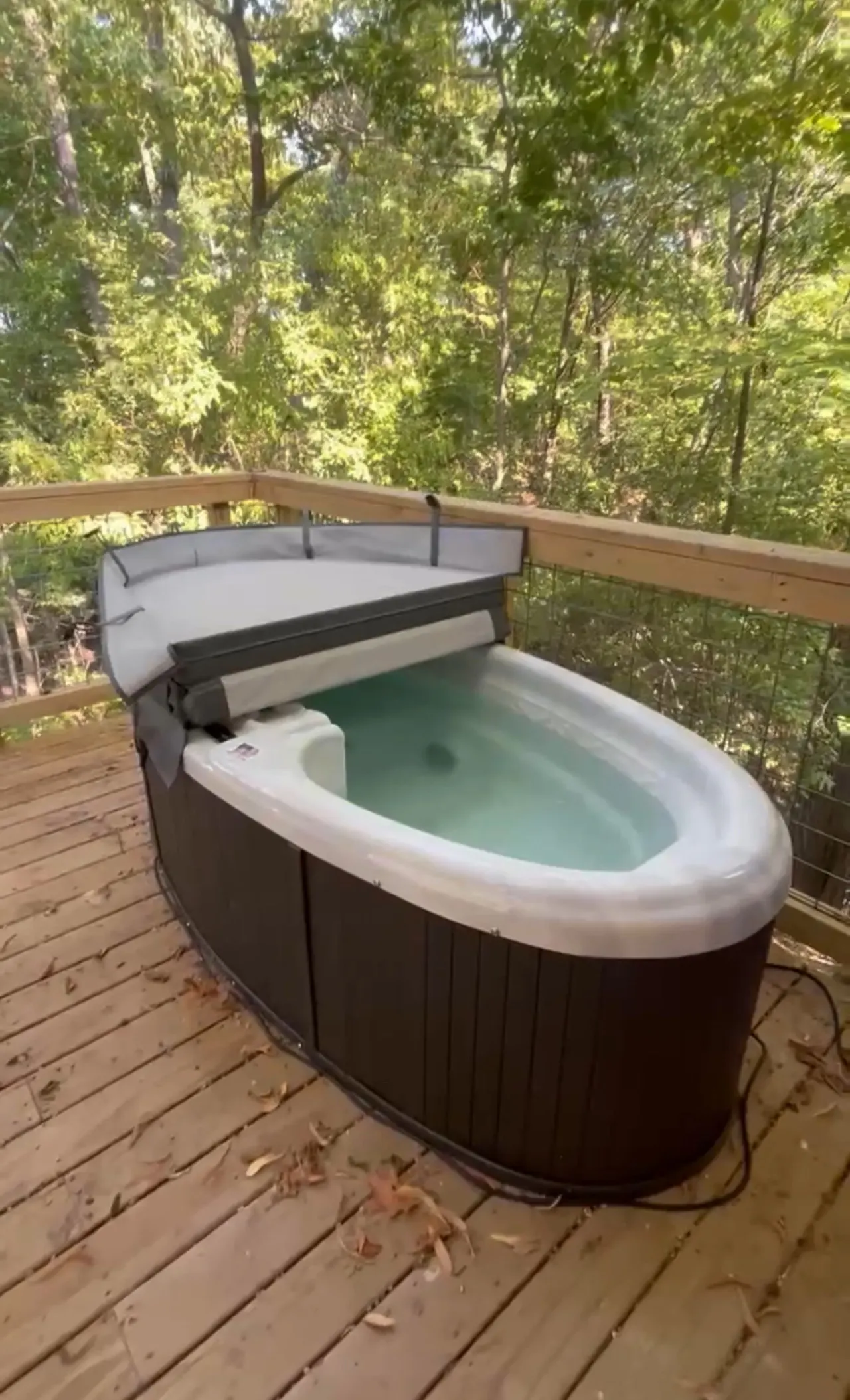 Lakefront Treehouse - Cowbird Canopy 17