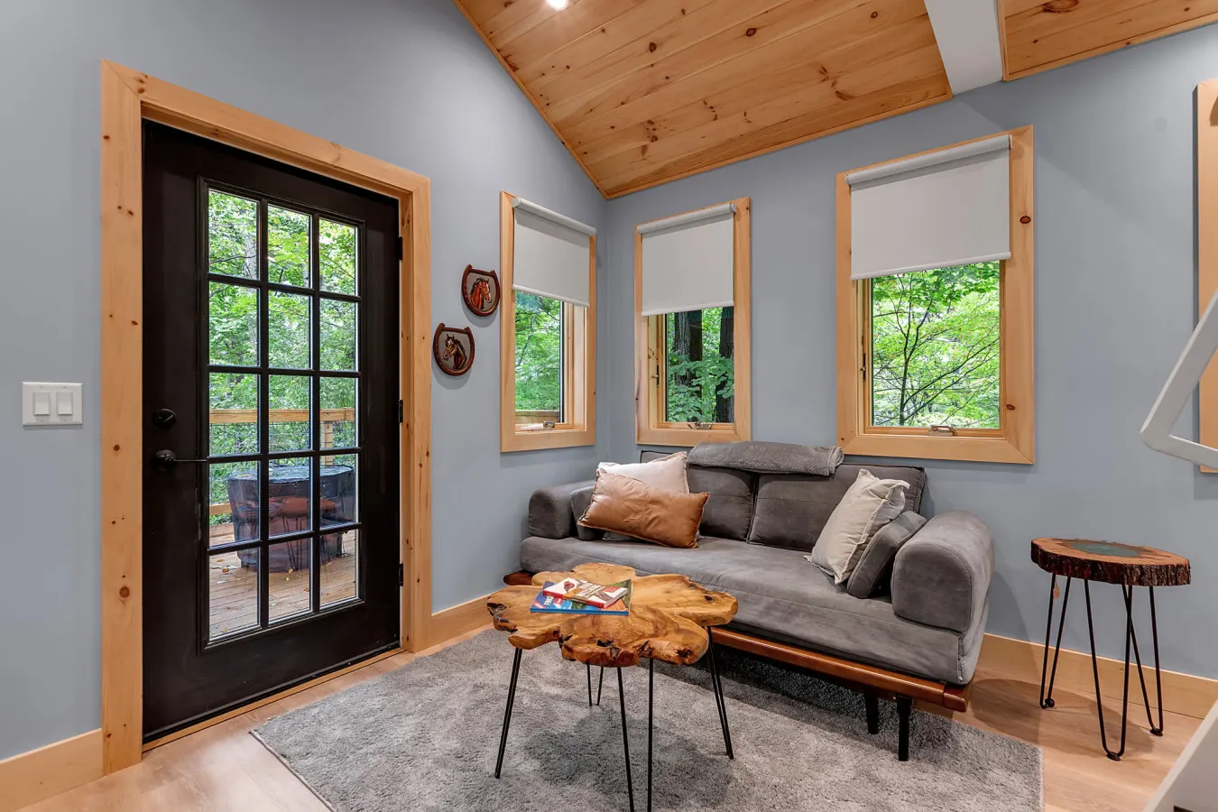 Lakefront Treehouse - Cowbird Canopy 7
