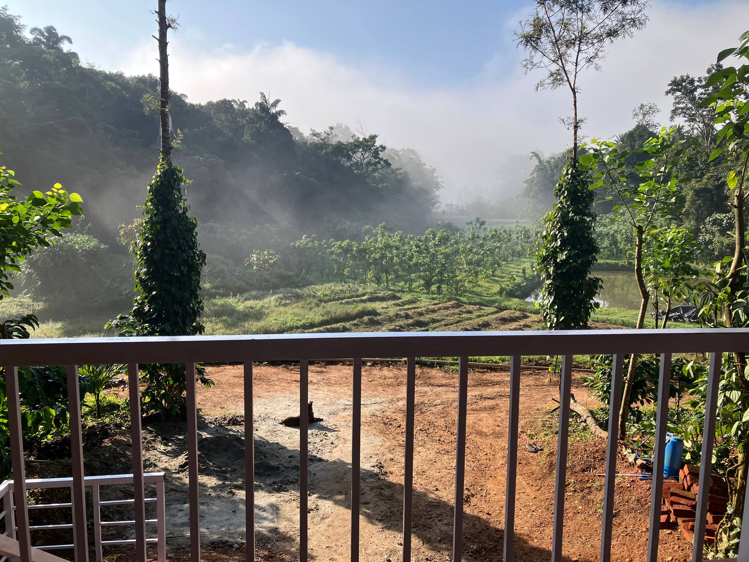 Green Turfs Farmstay 4