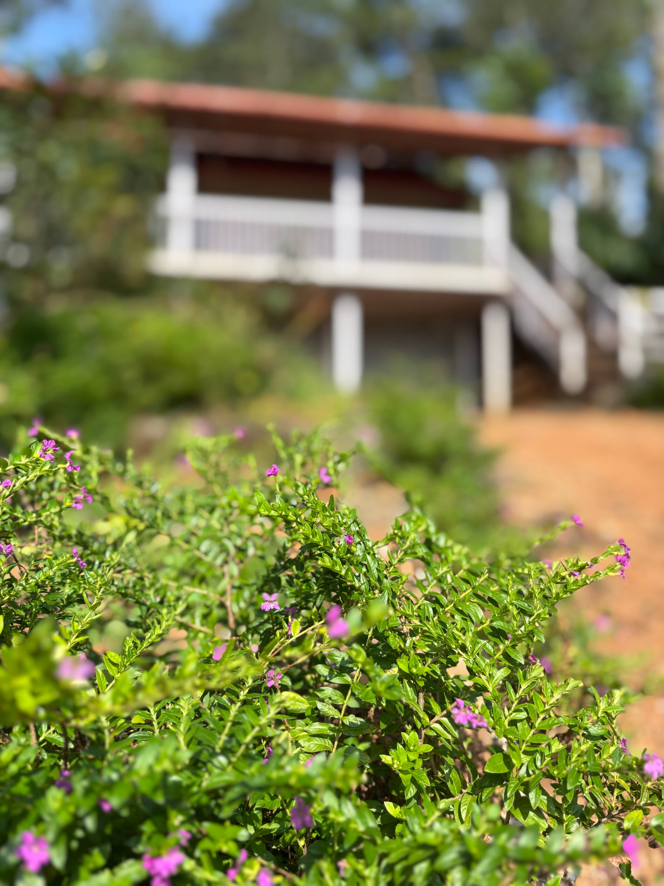 Green Turfs Farmstay 3