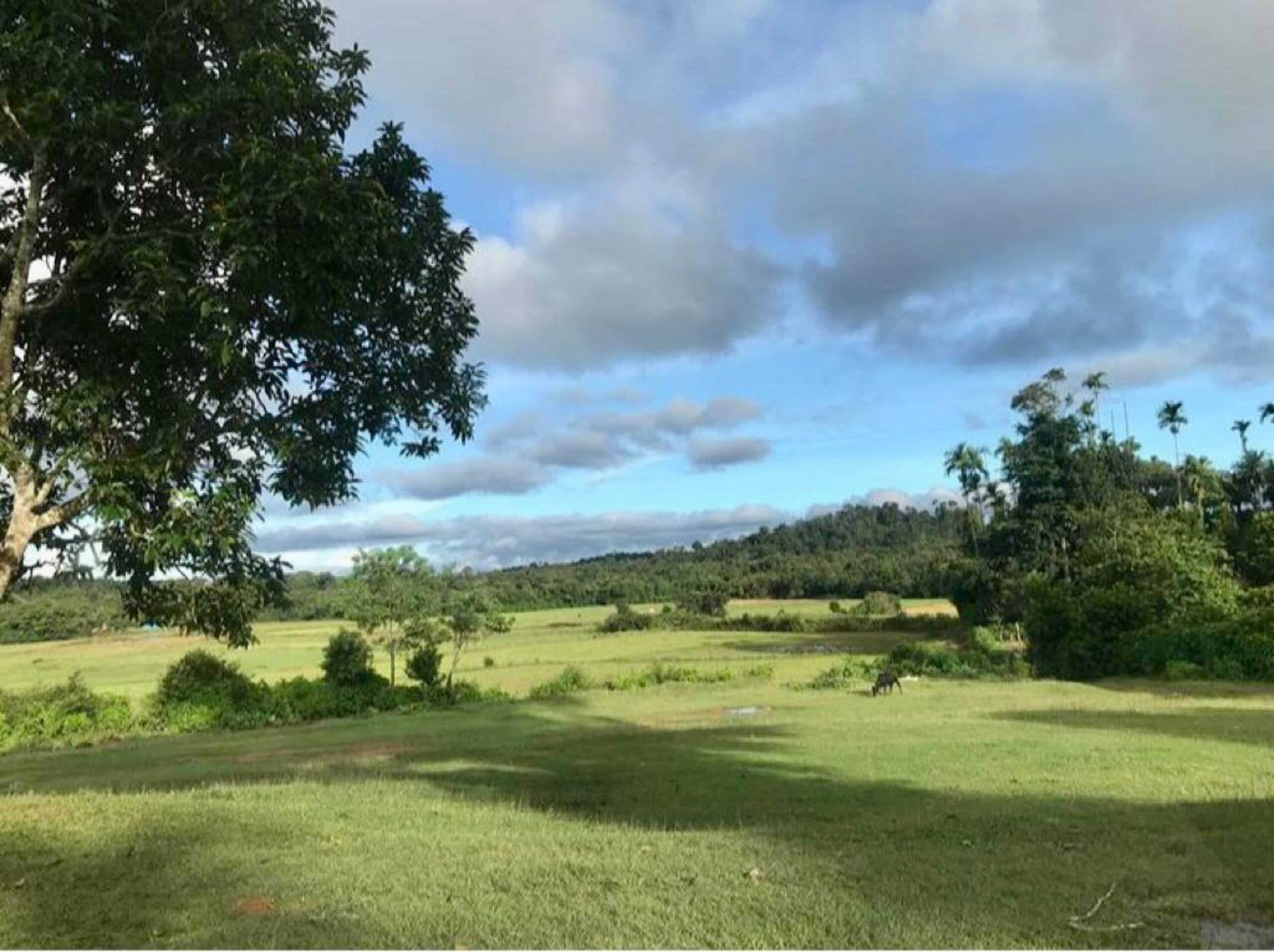 Green Turfs Farmstay 16