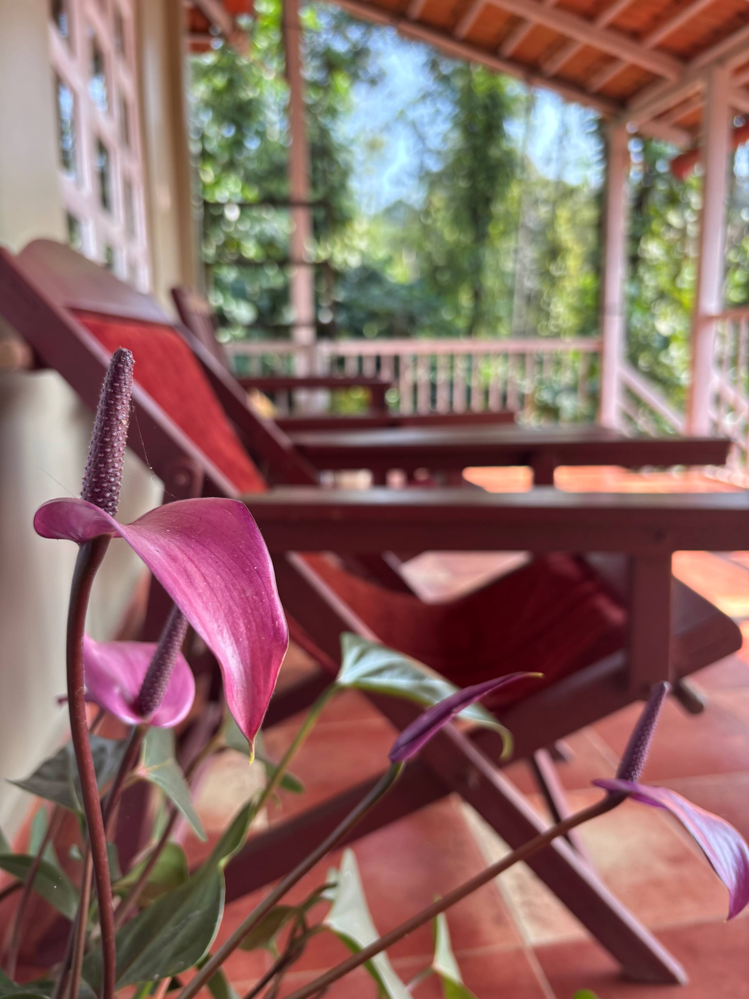 Green Turfs Farmstay 9
