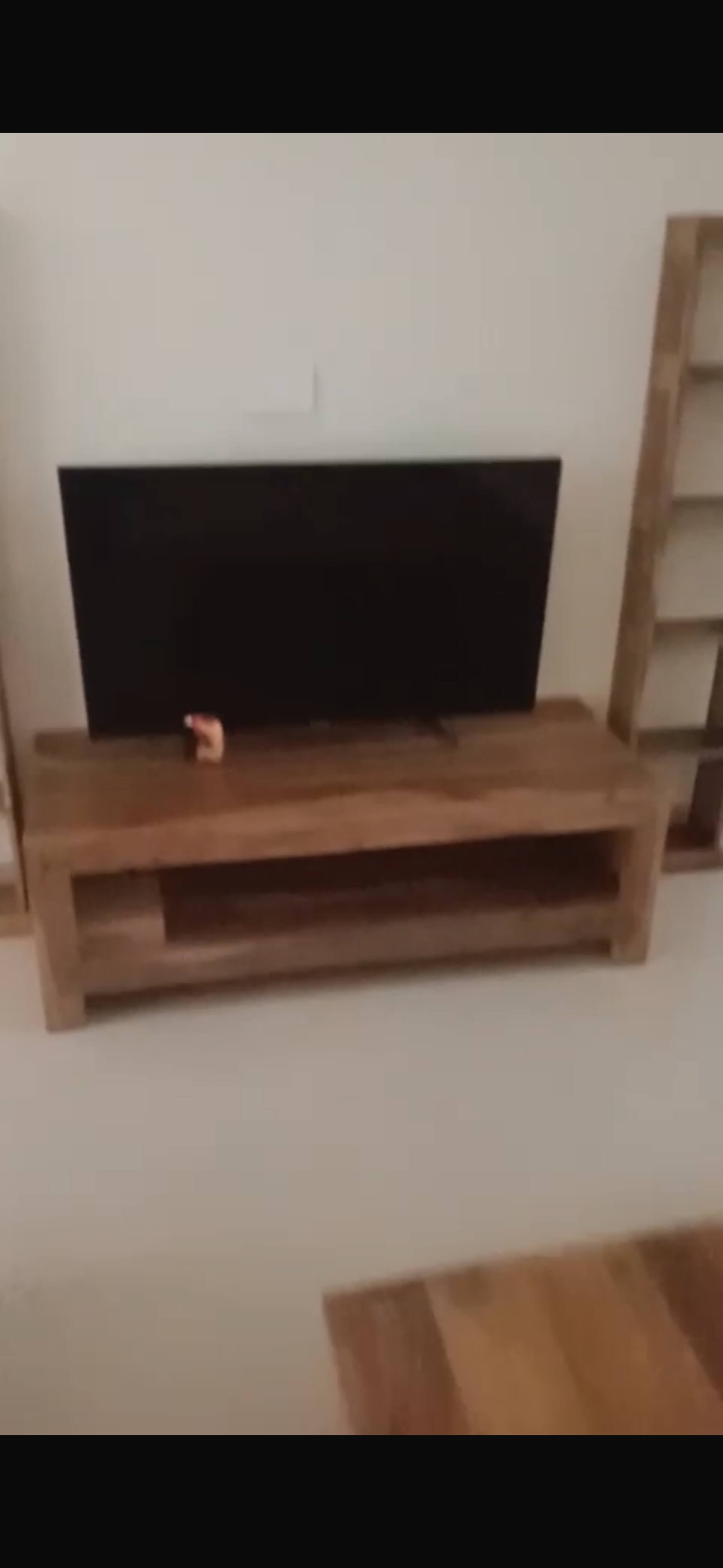 Adi's Solaris|Spacious 2BHK| Luxury Bliss Poolside 13