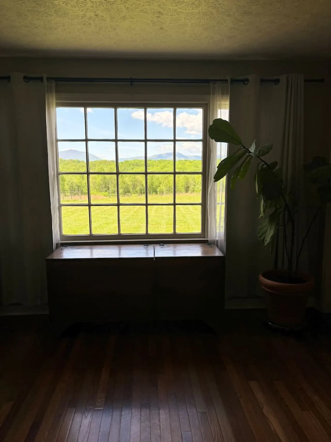 Redwing Farm Cottage Mountain Views & Firepit 17