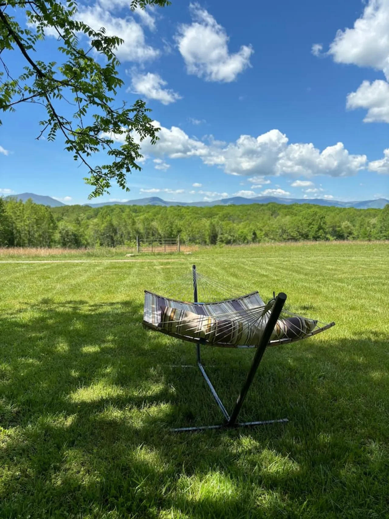 Redwing Farm Cottage Mountain Views & Firepit 5