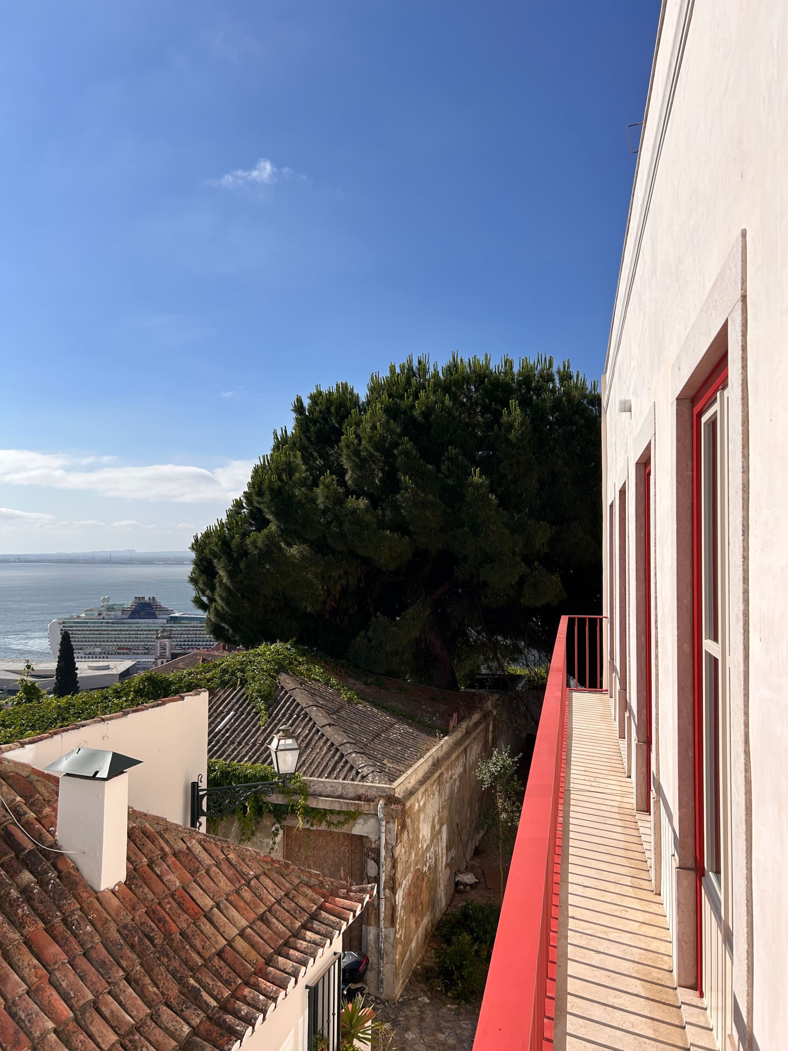 Poleiro – Panoramic Duplex Perch 3