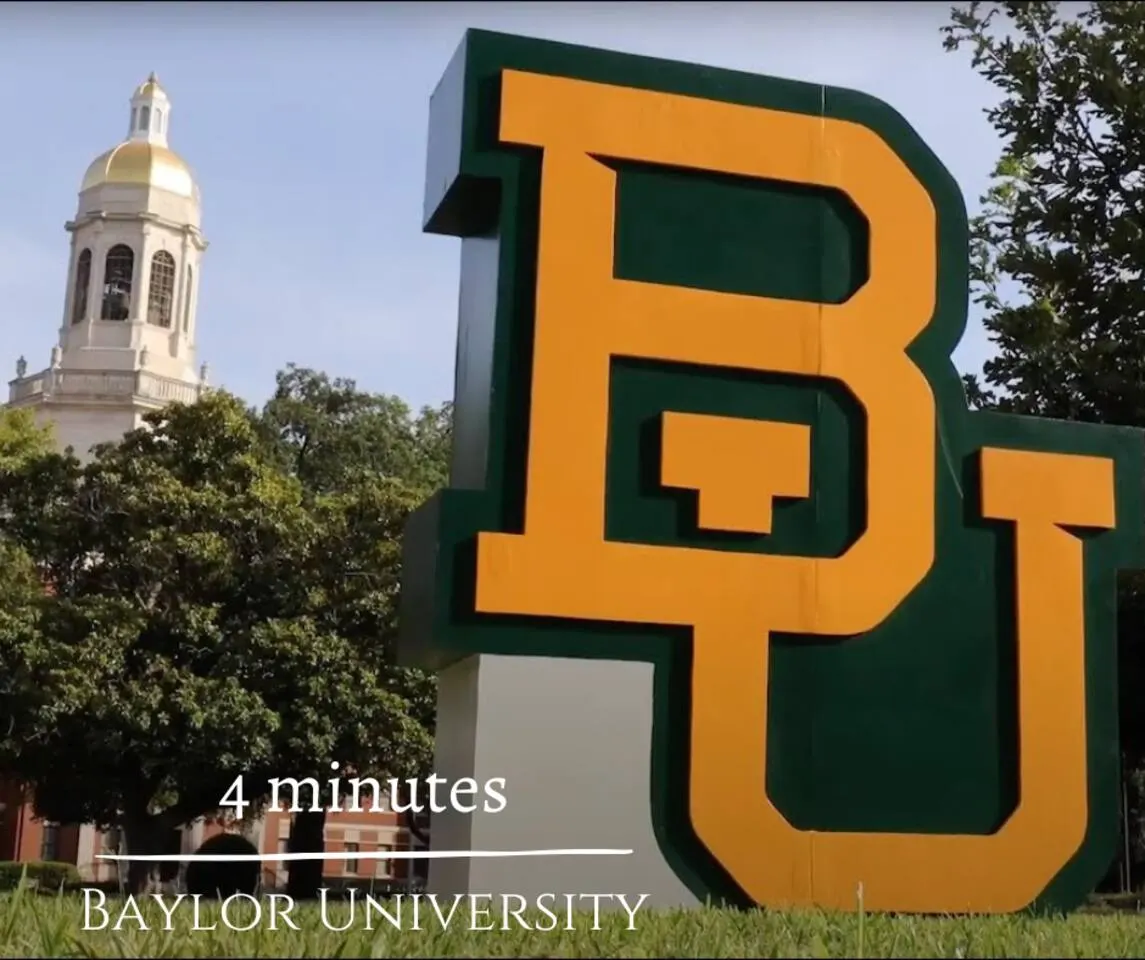 The Beehive - The Buzz of Downtown Waco — photo 4