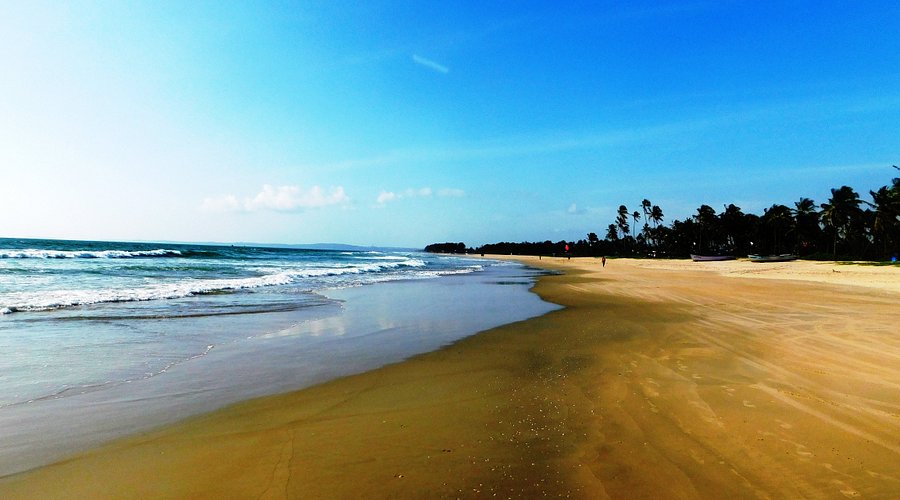 La Vida 101 premium equipped boutique stay in Goa 8