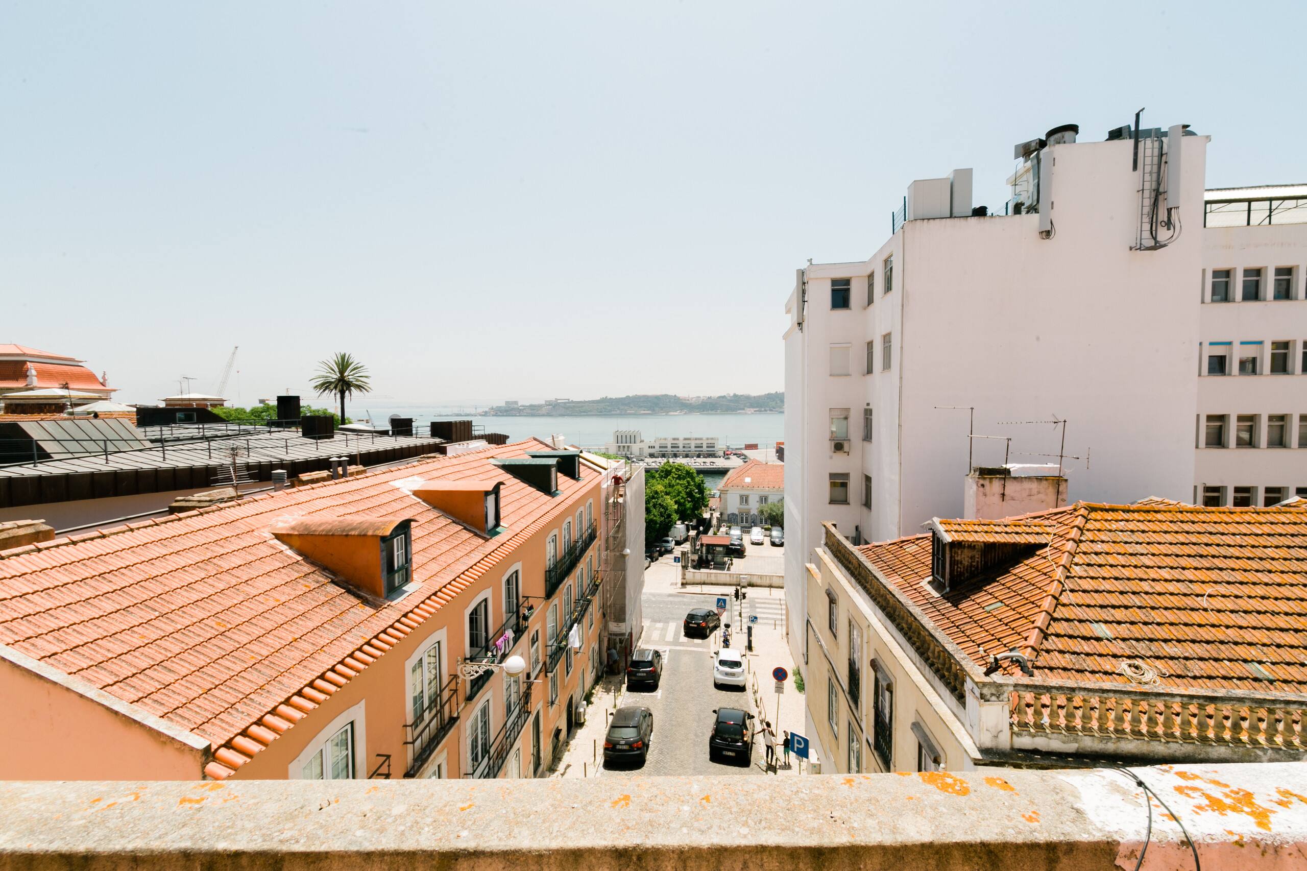 Charming Tagus - Green Gem Windows 6