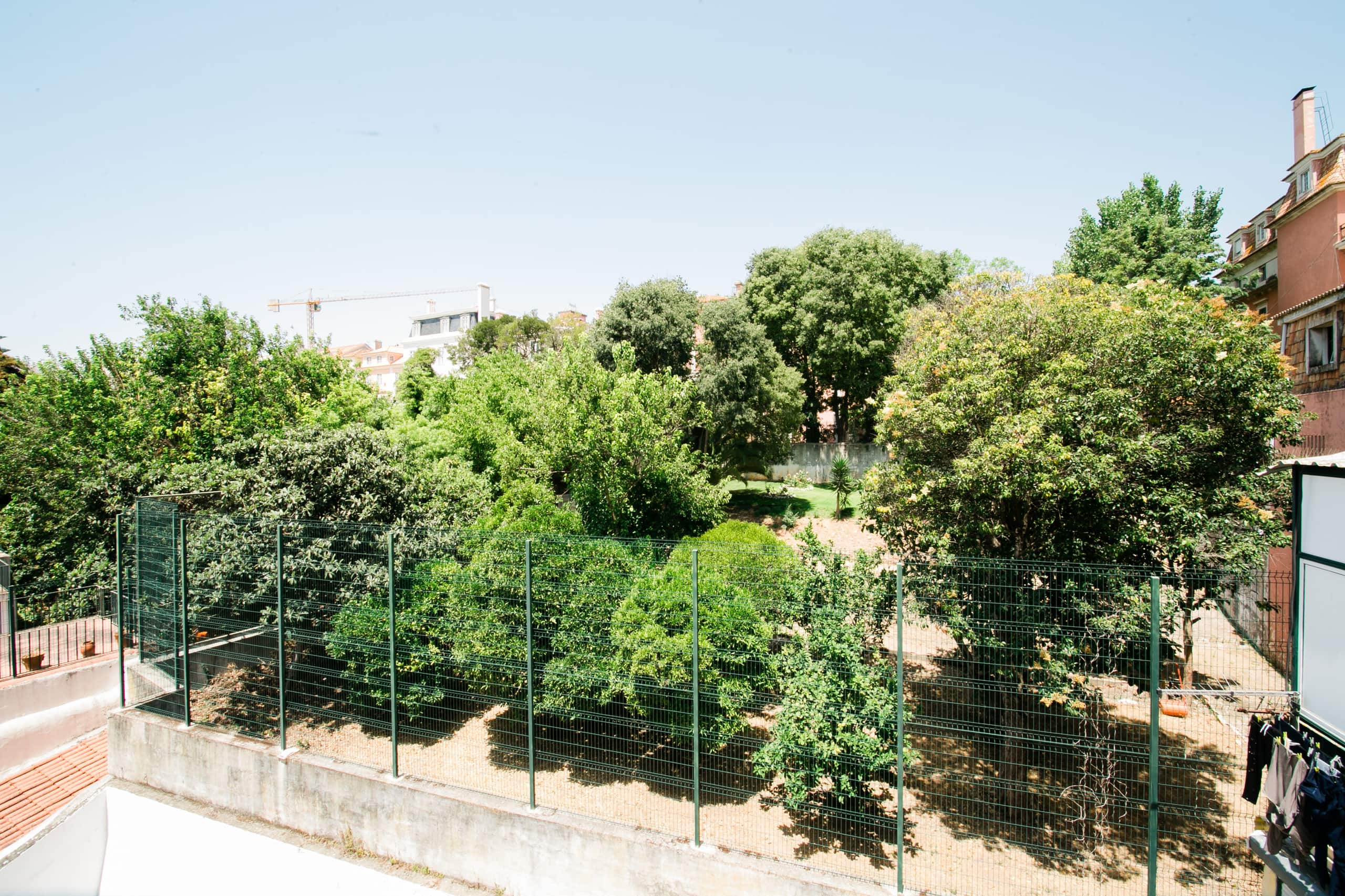 Charming Tagus - Green Gem Windows 14