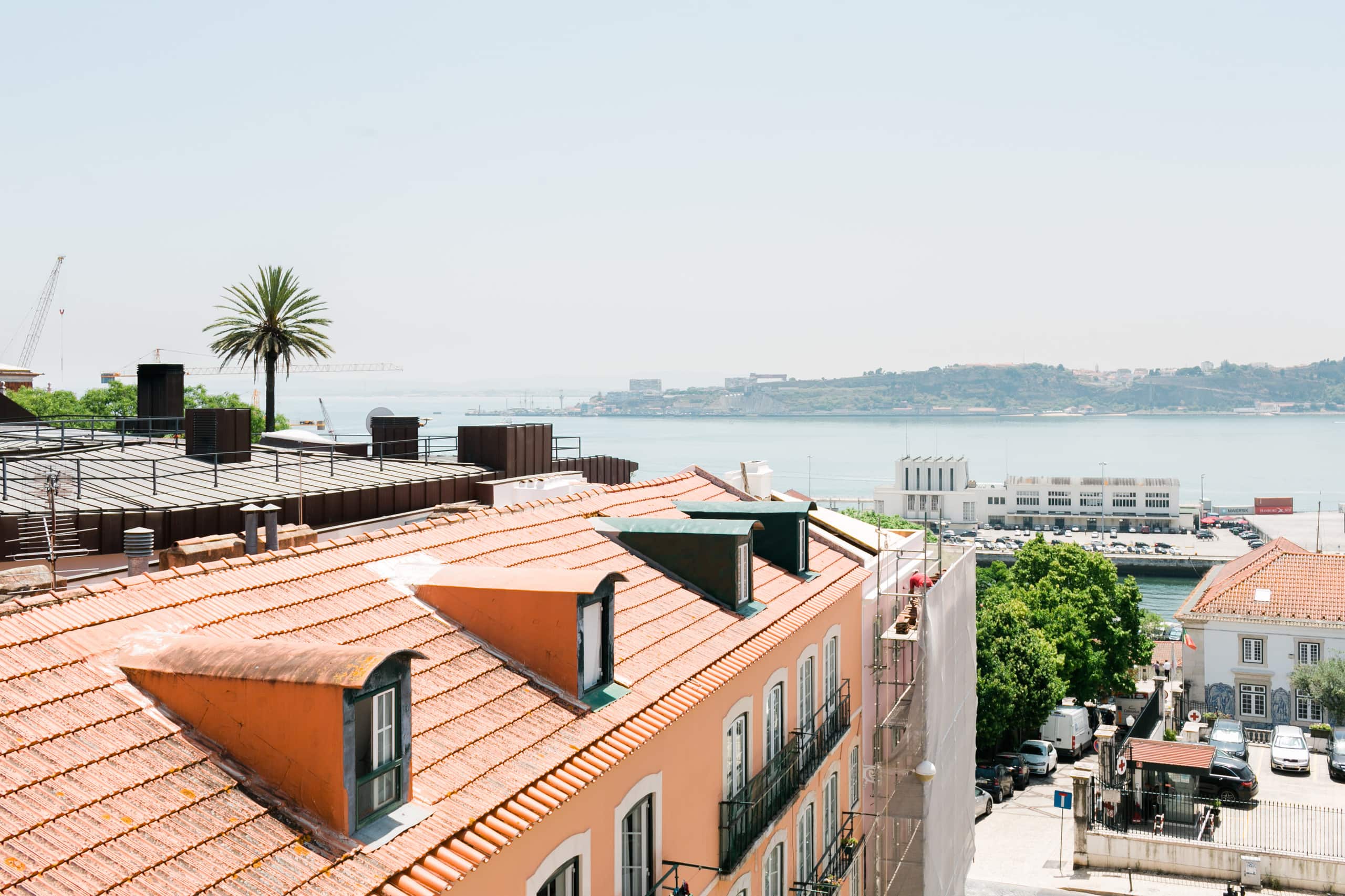 Charming Tagus - Green Gem Windows 1