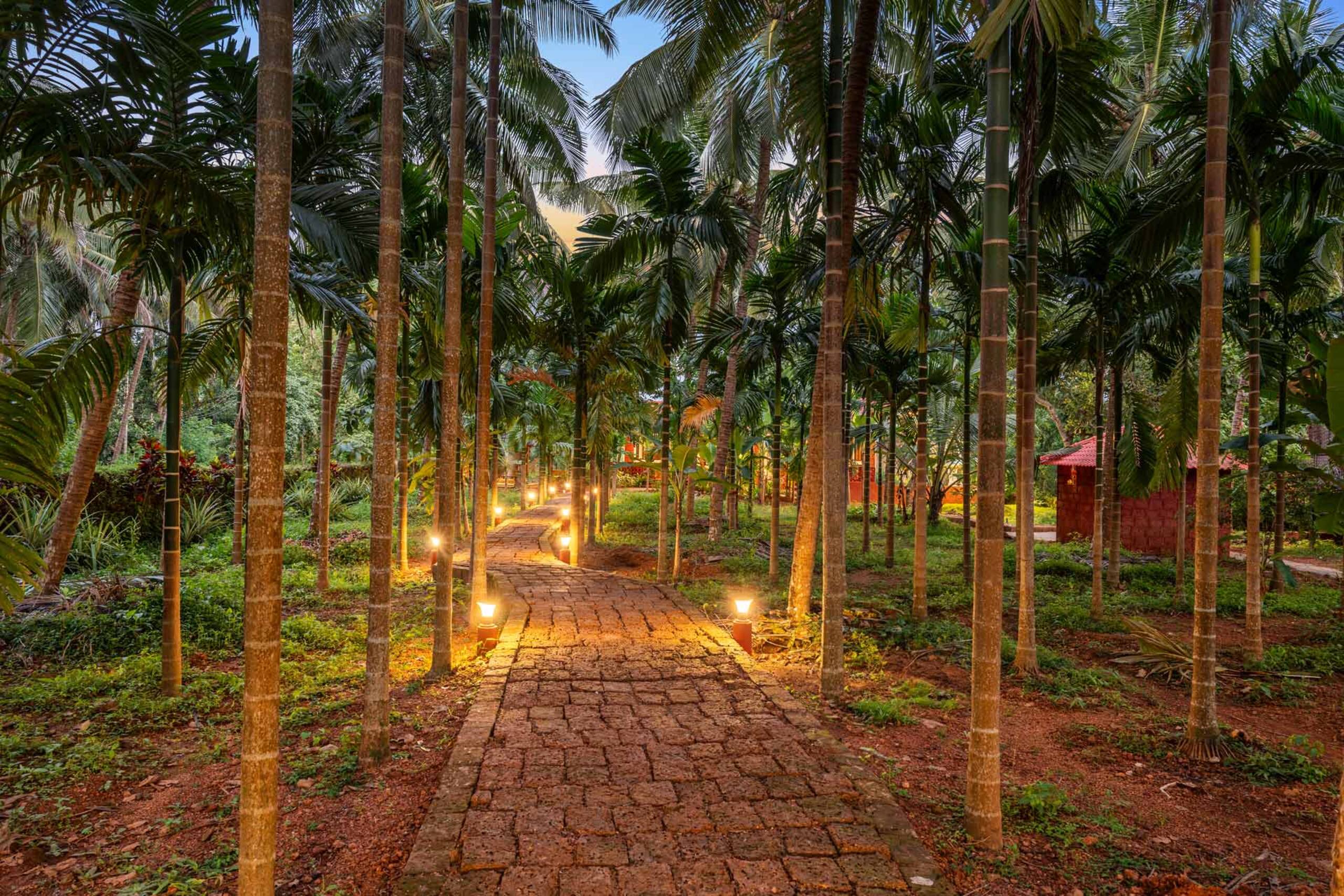 StayVista| Vatika Nature Nest @Gokarna 6