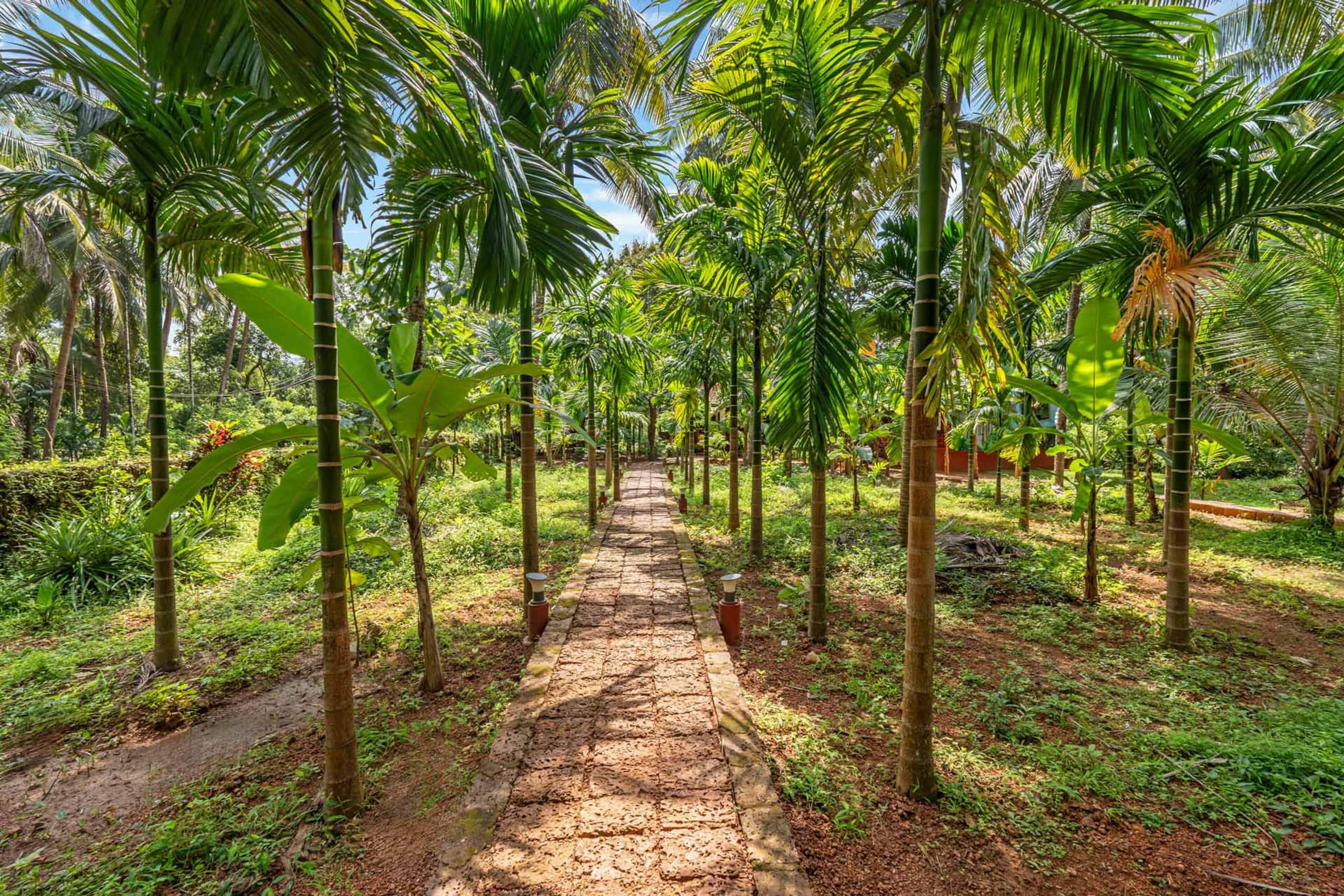 StayVista| Vatika Nature Nest @Gokarna 8