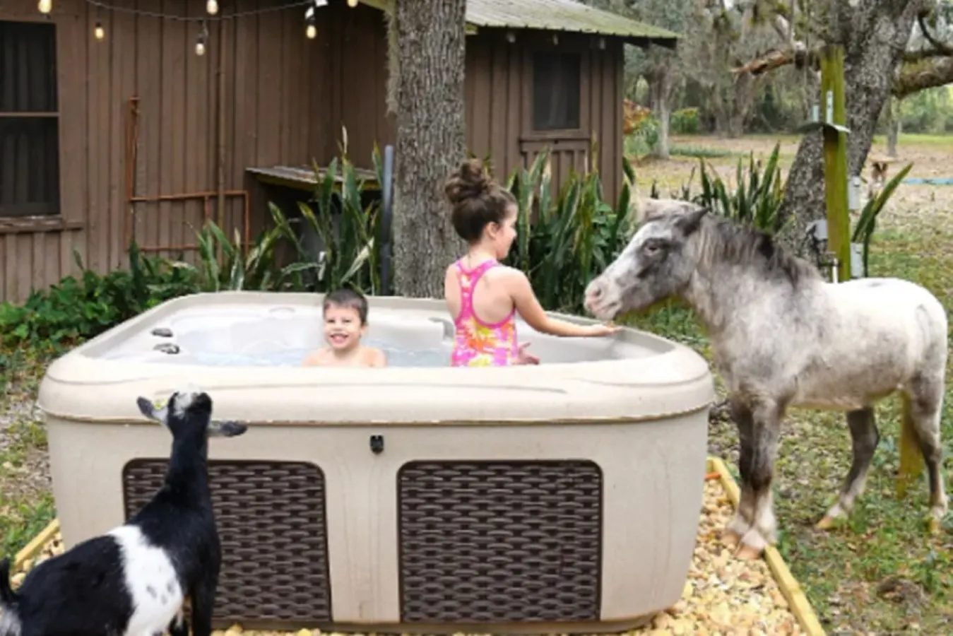 Charming+Free HorsebackRiding+Petting Farm 9