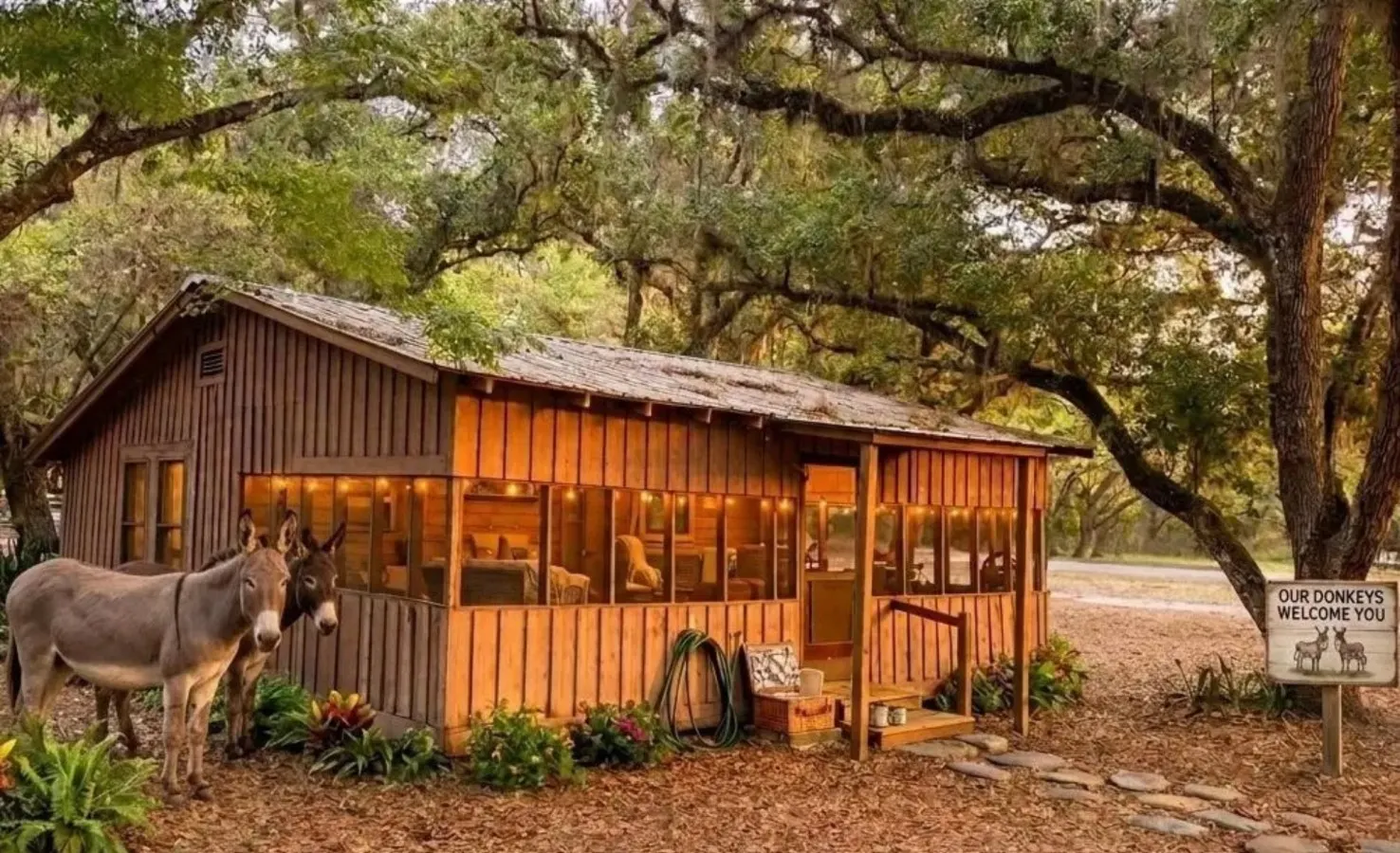 Charming+Free HorsebackRiding+Petting Farm — photo 3