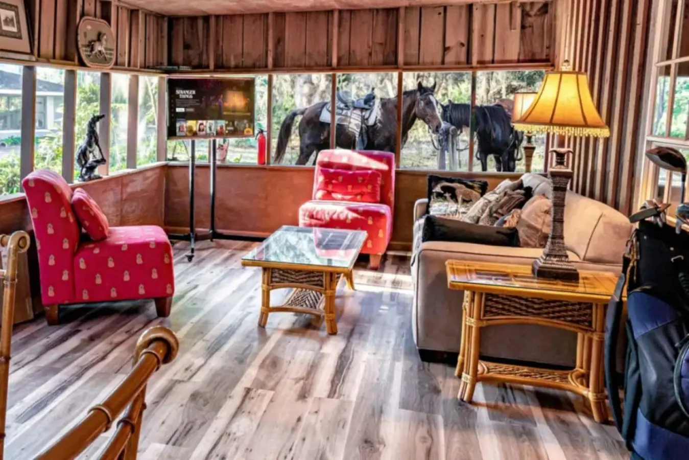 Charming+Free HorsebackRiding+Petting Farm 6