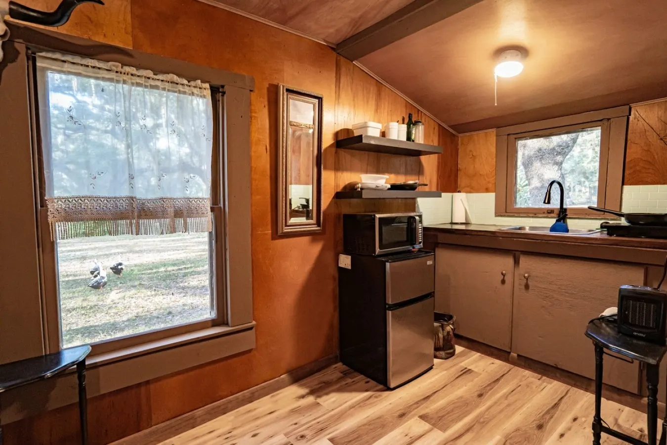 Charming+Free HorsebackRiding+Petting Farm 8