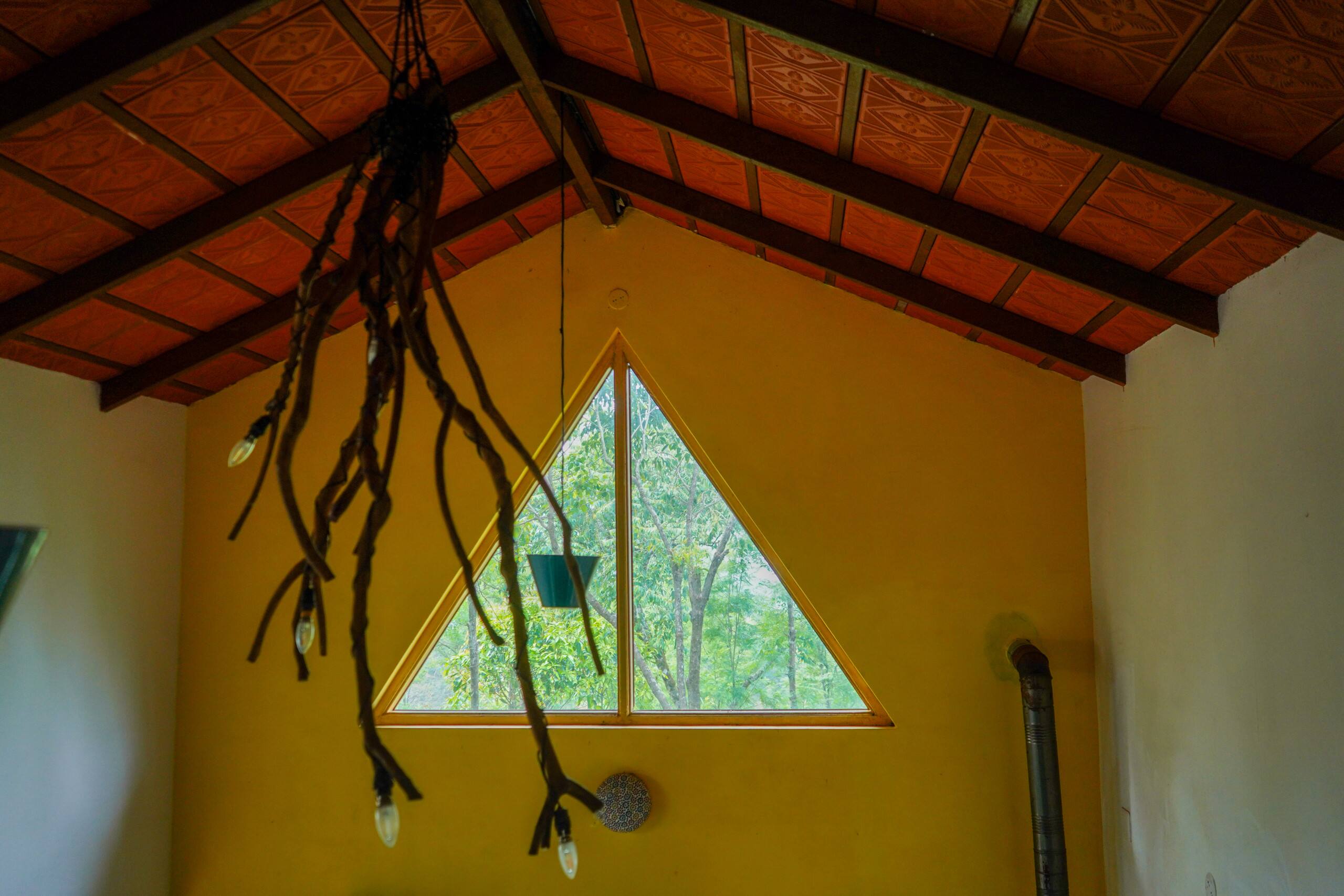 Bababudangiri view private birding cottage Robin 14