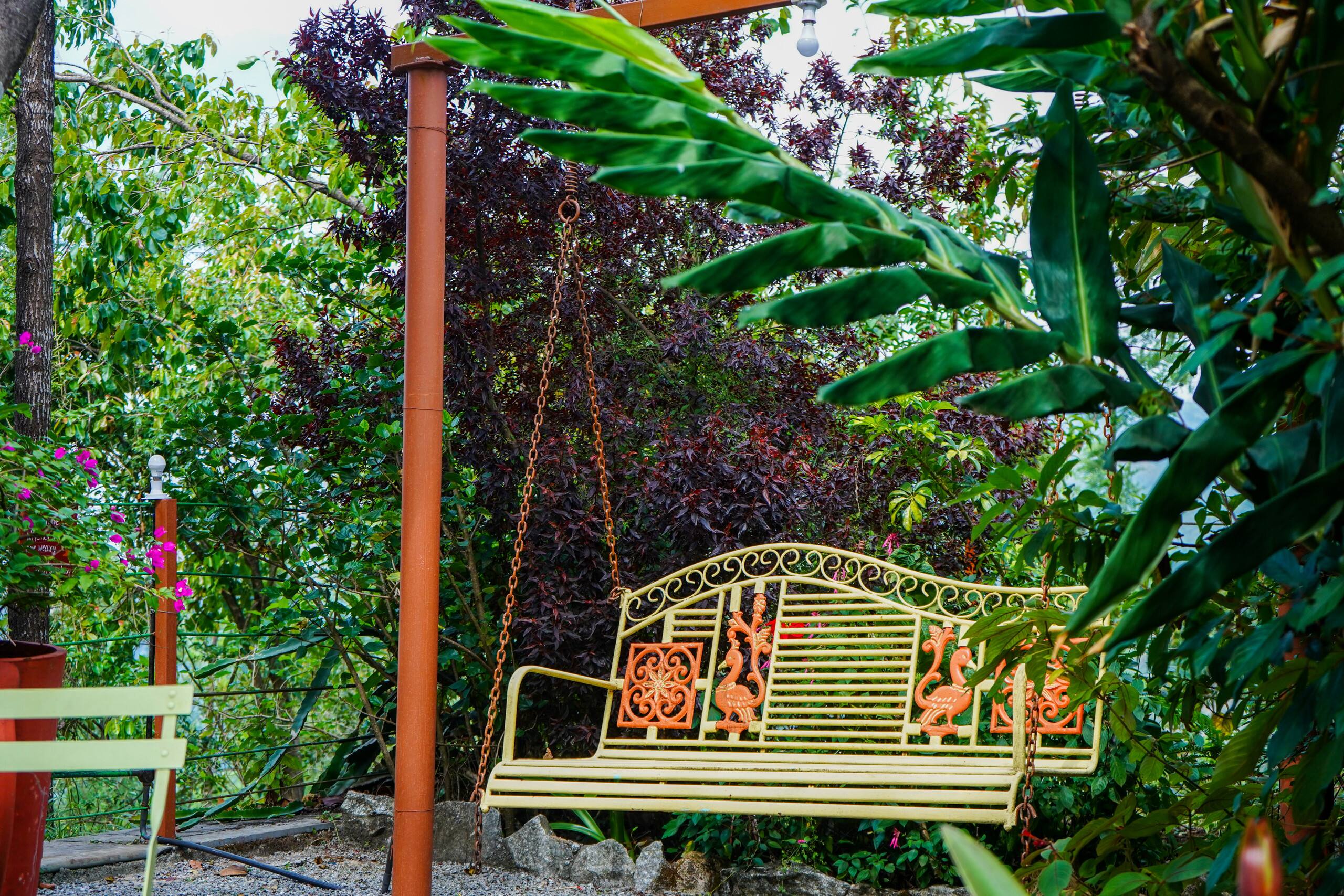 Bababudangiri view private birding cottage Robin 26