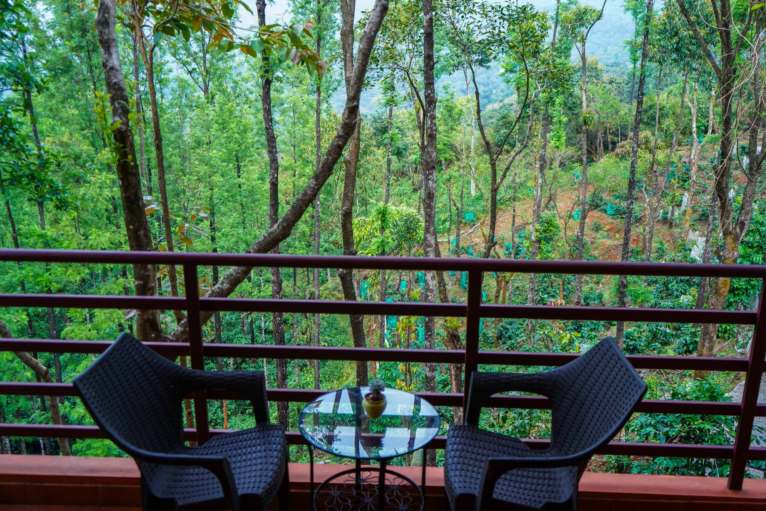 Bababudangiri view private birding cottage Robin. — photo 5