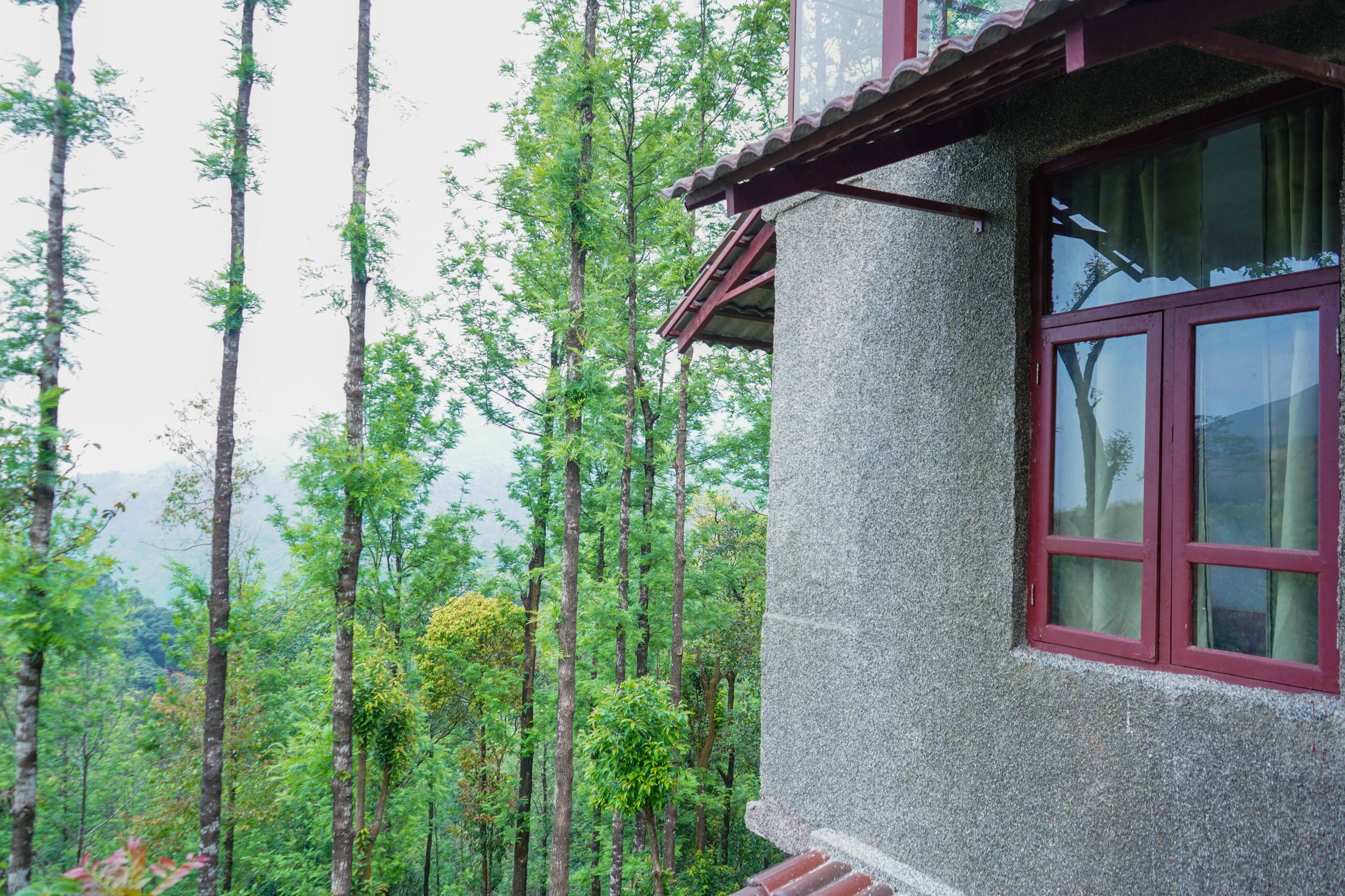 Bababudangiri view private birding cottage Robin 12