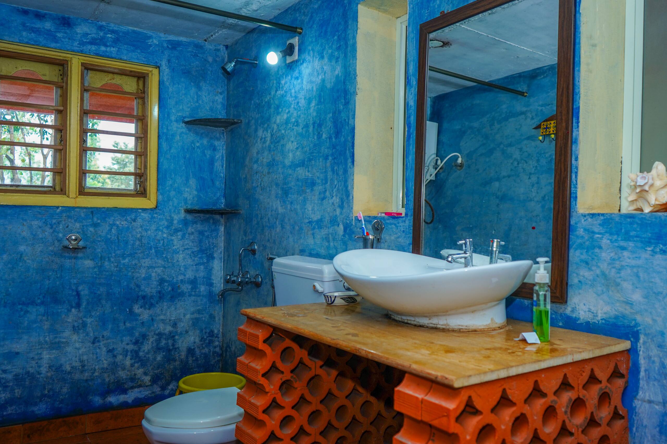 Bababudangiri view private birding cottage Robin 10