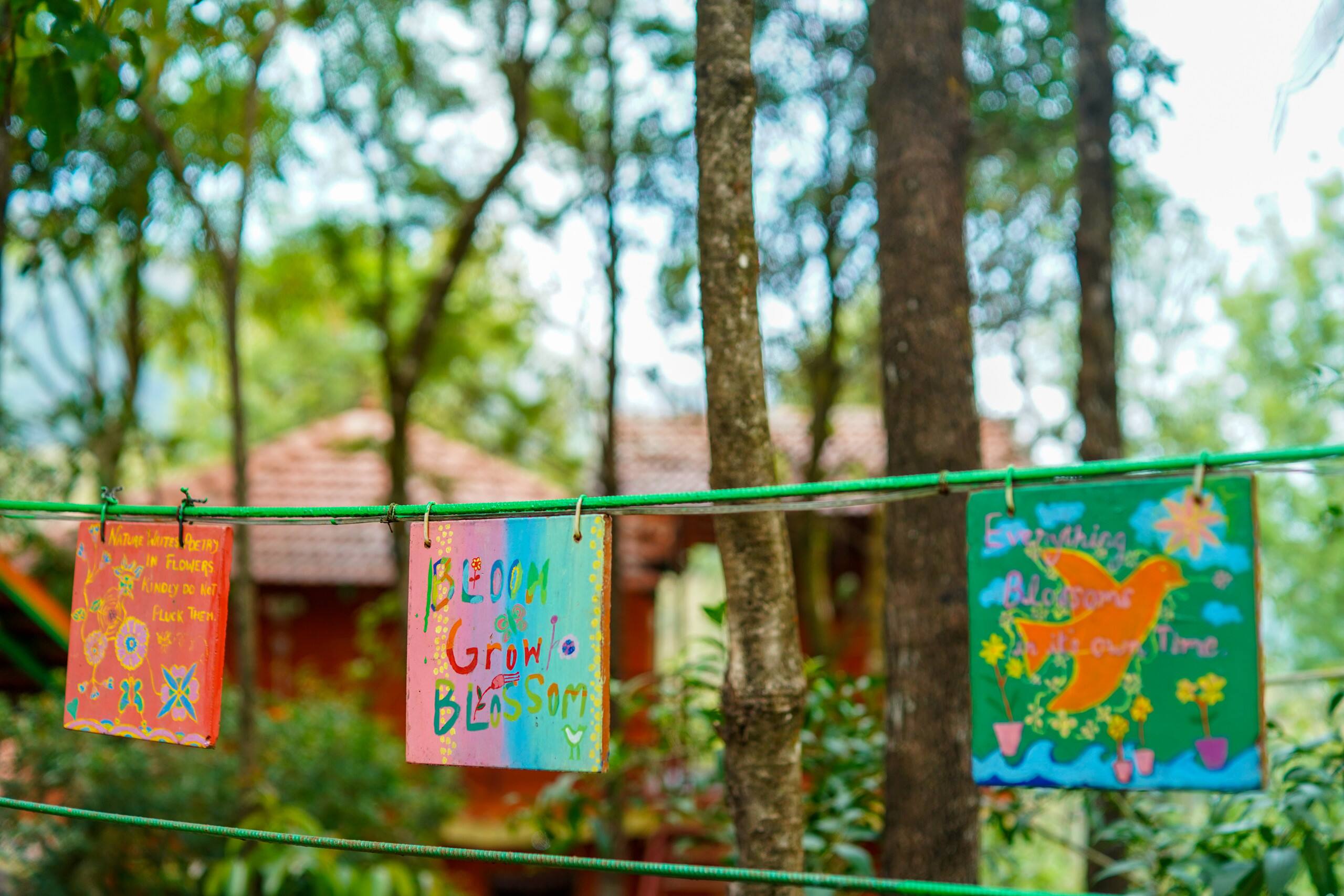 Bababudangiri view private birding cottage Robin 30